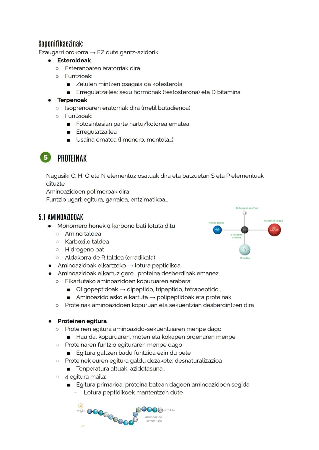 # MATERIA BIZIDUNAREN KONPOSIZIOA

1.1 Izaki bizidunak definitzen dituzten ezaugarriak
Berdintasuna:
*   Kimikoa: osaketa molekularra berdin