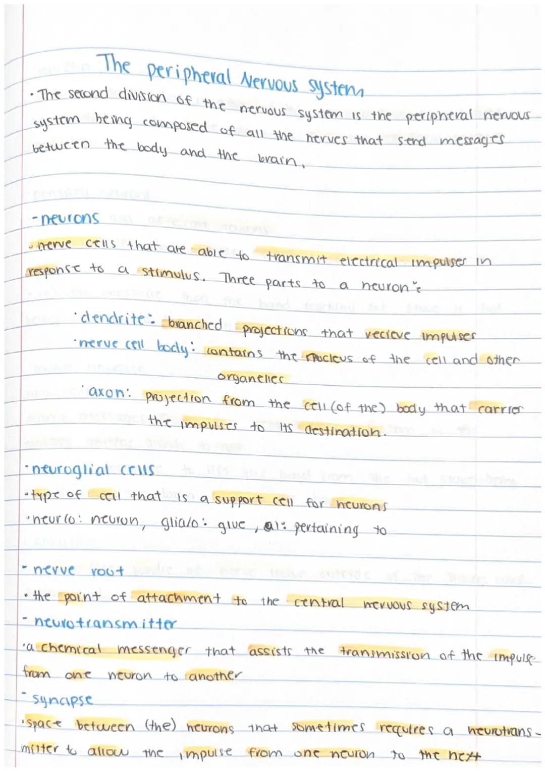 # The peripheral Nervous system

• The second division of the nervous system is the peripheral nervous.
system being composed of all the ner