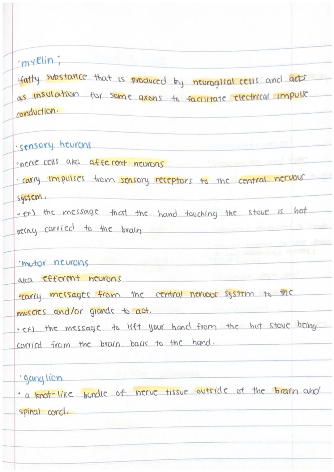 # The peripheral Nervous system

• The second division of the nervous system is the peripheral nervous.
system being composed of all the ner