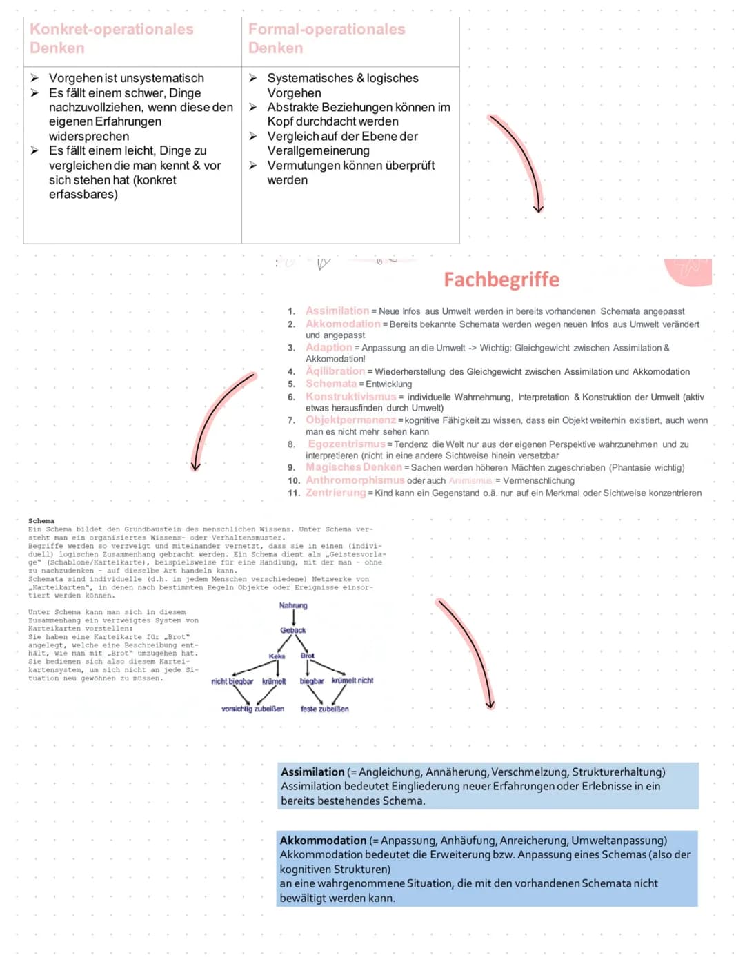 # Kognitive Entwicklung Jean Piaget

Konstruktivistisches Lernverständnis

Entwicklung und Sozialisation in der Kindheit kognitive

Entwickl