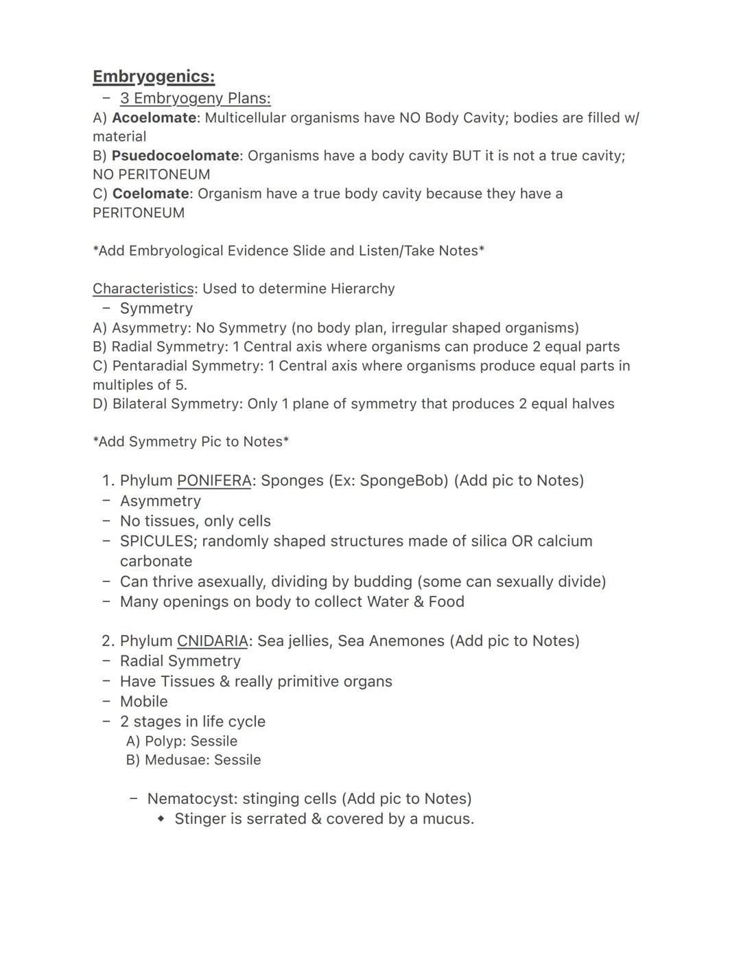 Lecture 3/22

Fungi
- They have their own kingdom
- Most are multicellular
- Sessile decomposers
- More closely related to animals than plan
