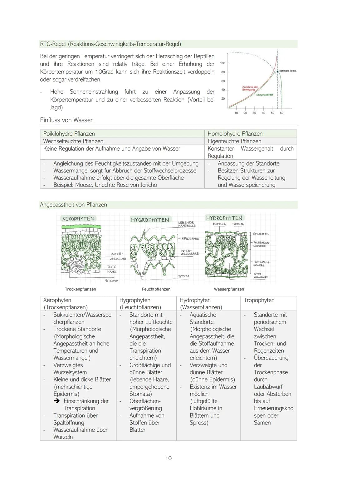 # BIOLOGIE-ABITUR

## Q1 – 12.1 - STOFFWECHSELBIOLOGIE UND ENZYMATIK

- ASSIMILATION: FOTOSYNTHESE
    - Überblick
    - Bedeutung der Fotos