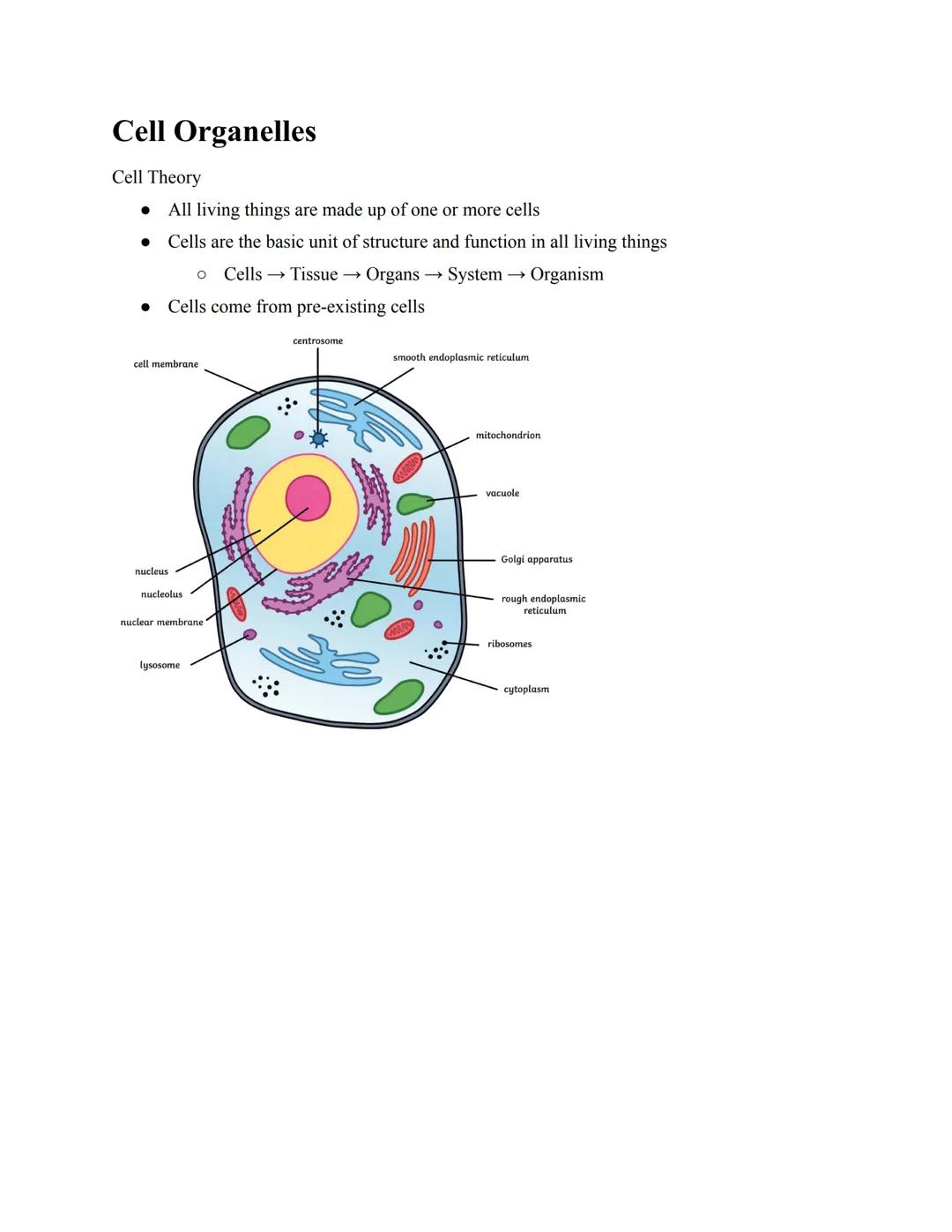 # Cell Organelles
Cell Theory
*   All living things are made up of one or more cells
*   Cells are the basic unit of structure and function 
