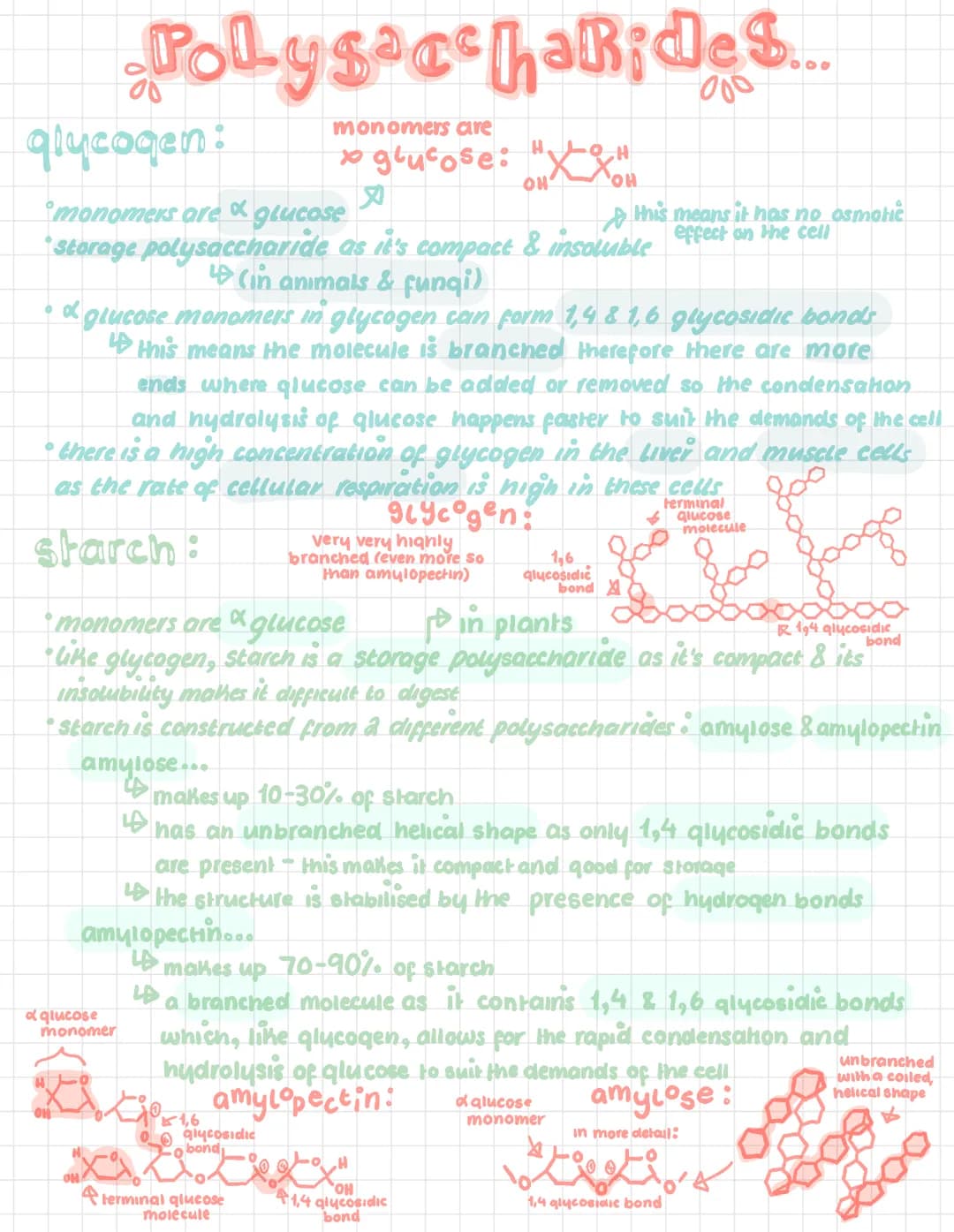 # Polysaccharides....

glycogen:

monomers care

glucose:

$
H$

OH

$
H$

OH

this means it has no osmotie

monomers are & glucose

storage