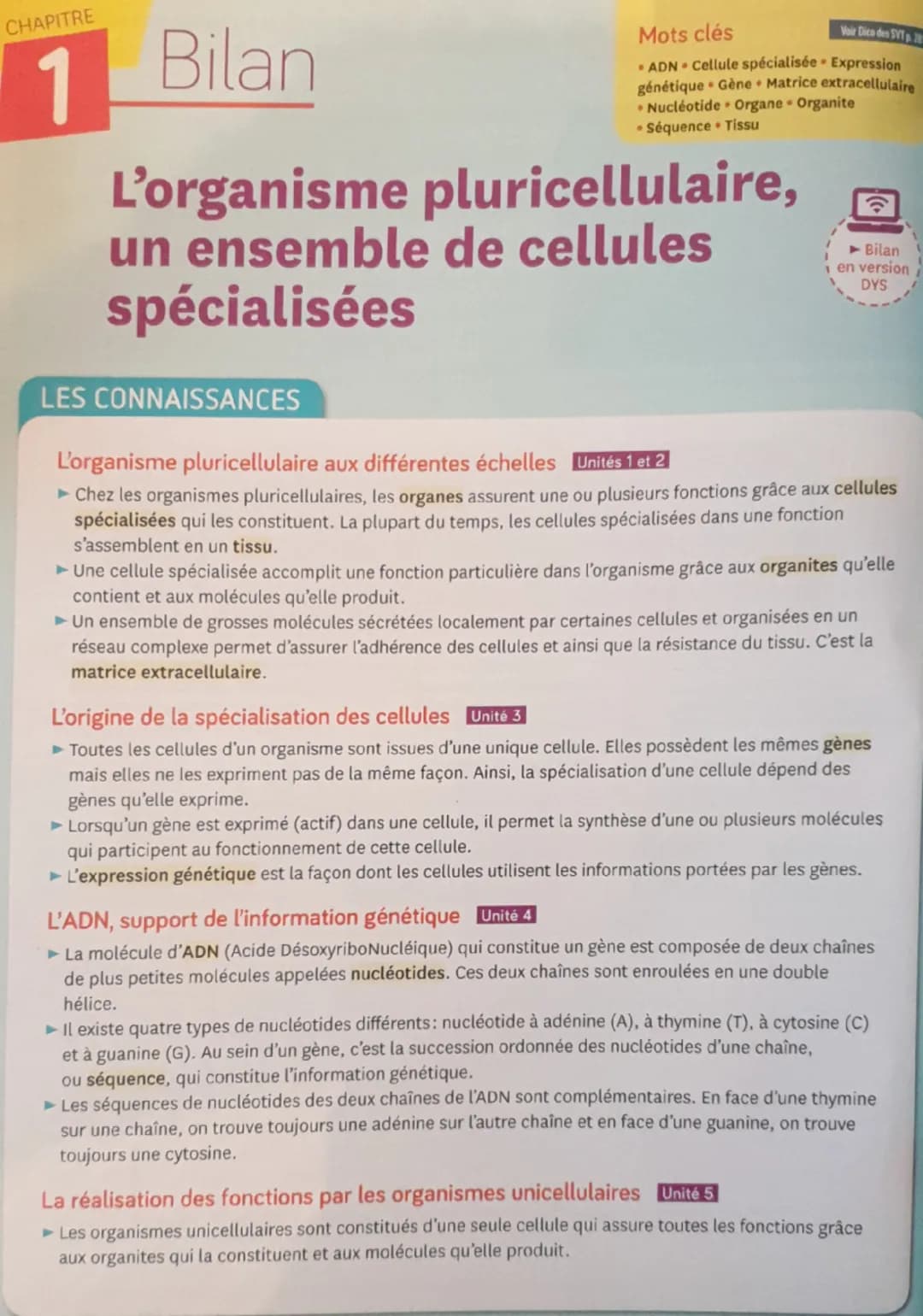 CHAPITRE

1 Bilan

Voir Dice des DV7.2
Mots clés
*   ADN Cellule spécialisée Expression
génétique Gène Matrice extracellulaire
*   Nucléotid