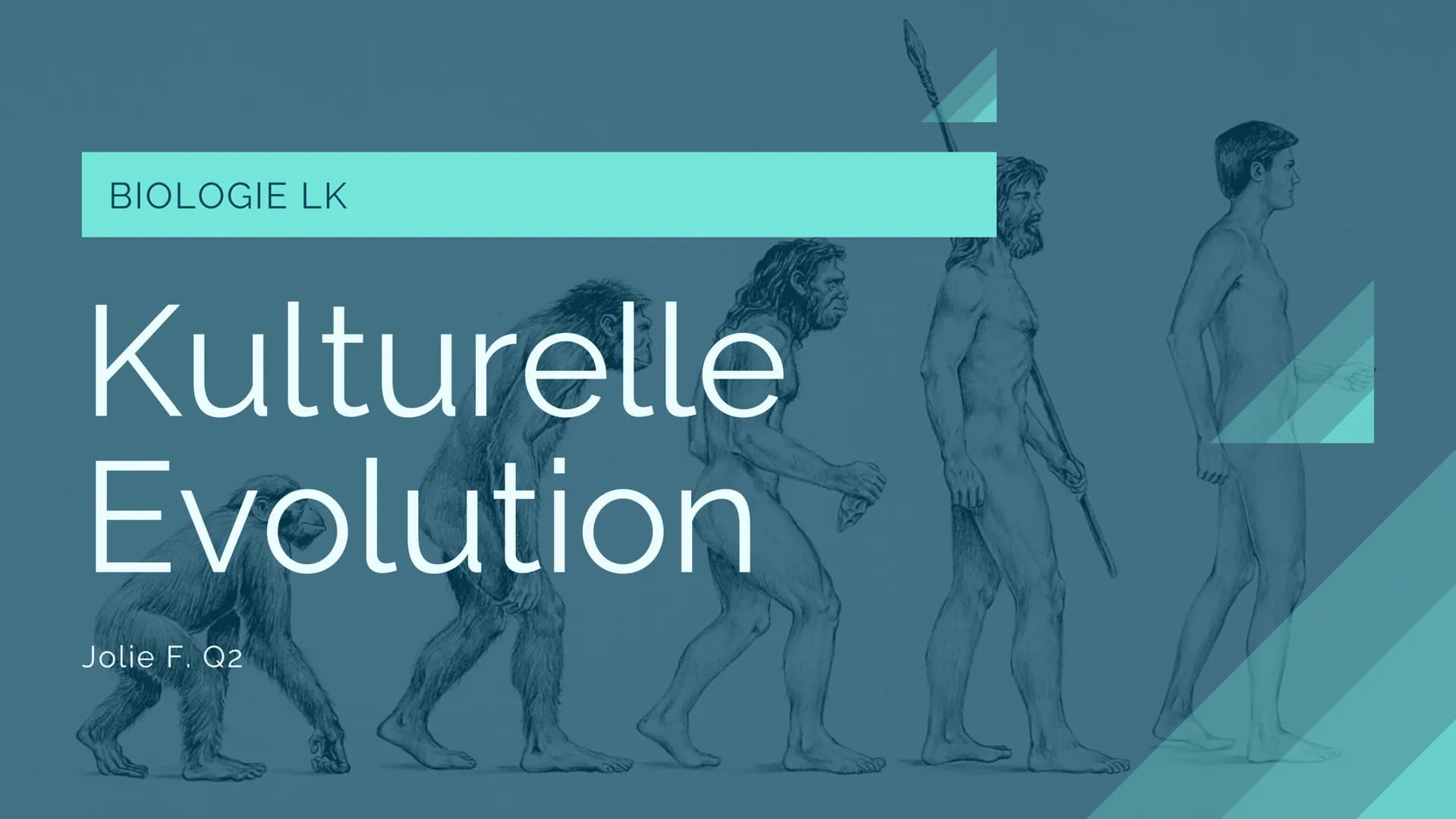 # BIOLOGIE LK

# Kulturelle
# Evolution

Jolie F. Q2 bbeville
Priem (Grotte
de Eglise
4. Schabes (Grotte
de felisc
3. Speerspitze (Volgu)
11