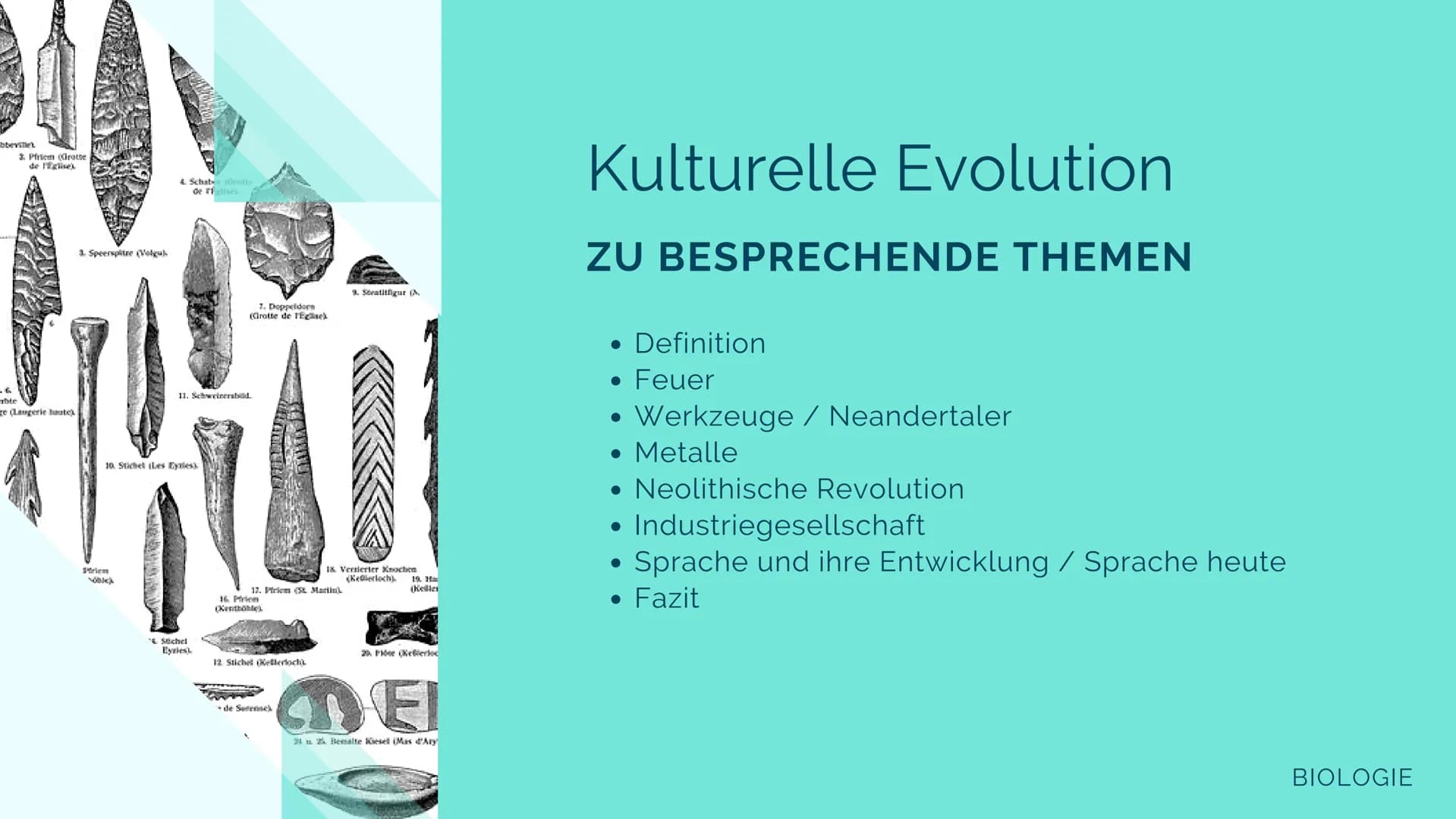 # BIOLOGIE LK

# Kulturelle
# Evolution

Jolie F. Q2 bbeville
Priem (Grotte
de Eglise
4. Schabes (Grotte
de felisc
3. Speerspitze (Volgu)
11