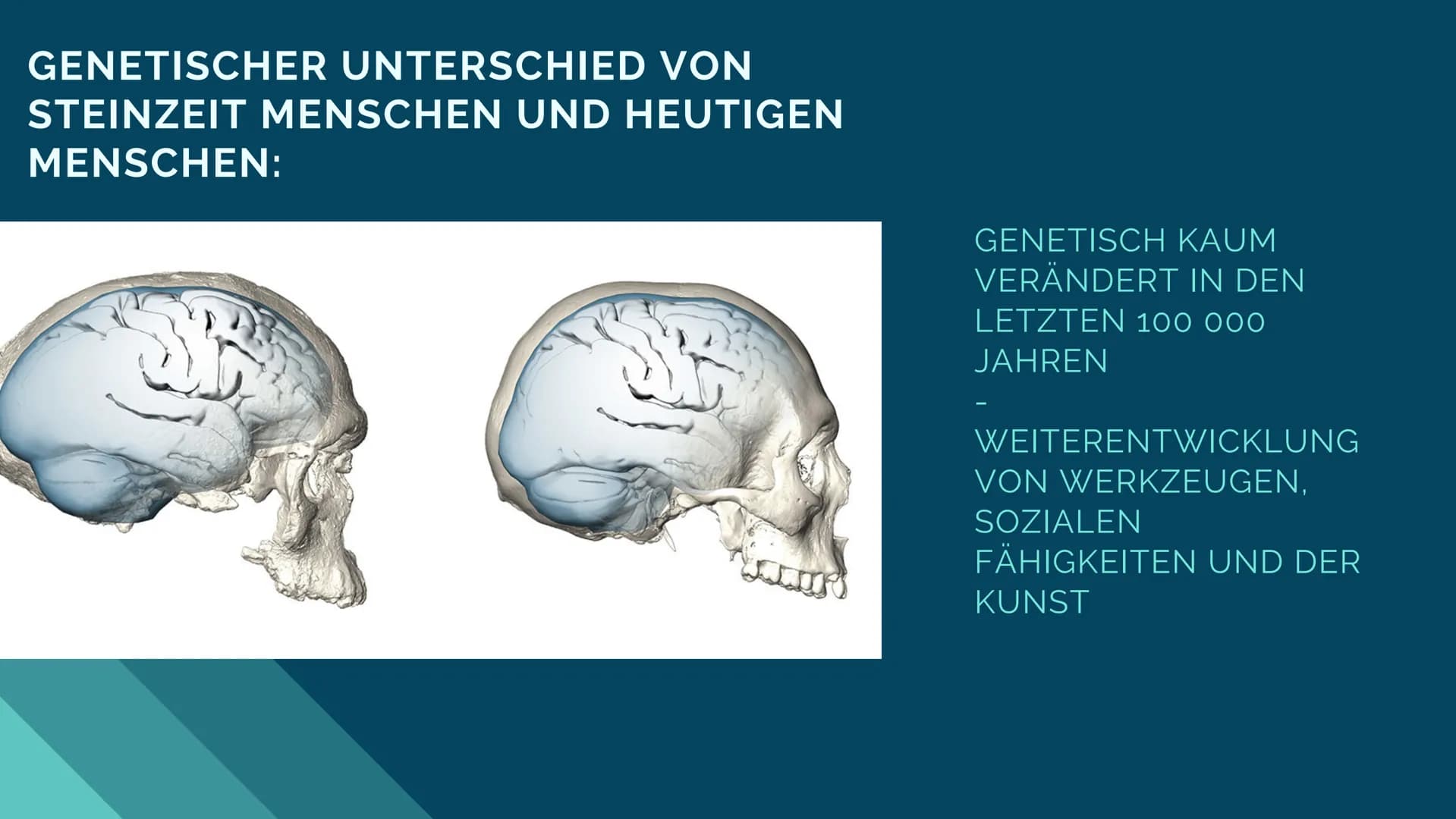 # BIOLOGIE LK

# Kulturelle
# Evolution

Jolie F. Q2 bbeville
Priem (Grotte
de Eglise
4. Schabes (Grotte
de felisc
3. Speerspitze (Volgu)
11
