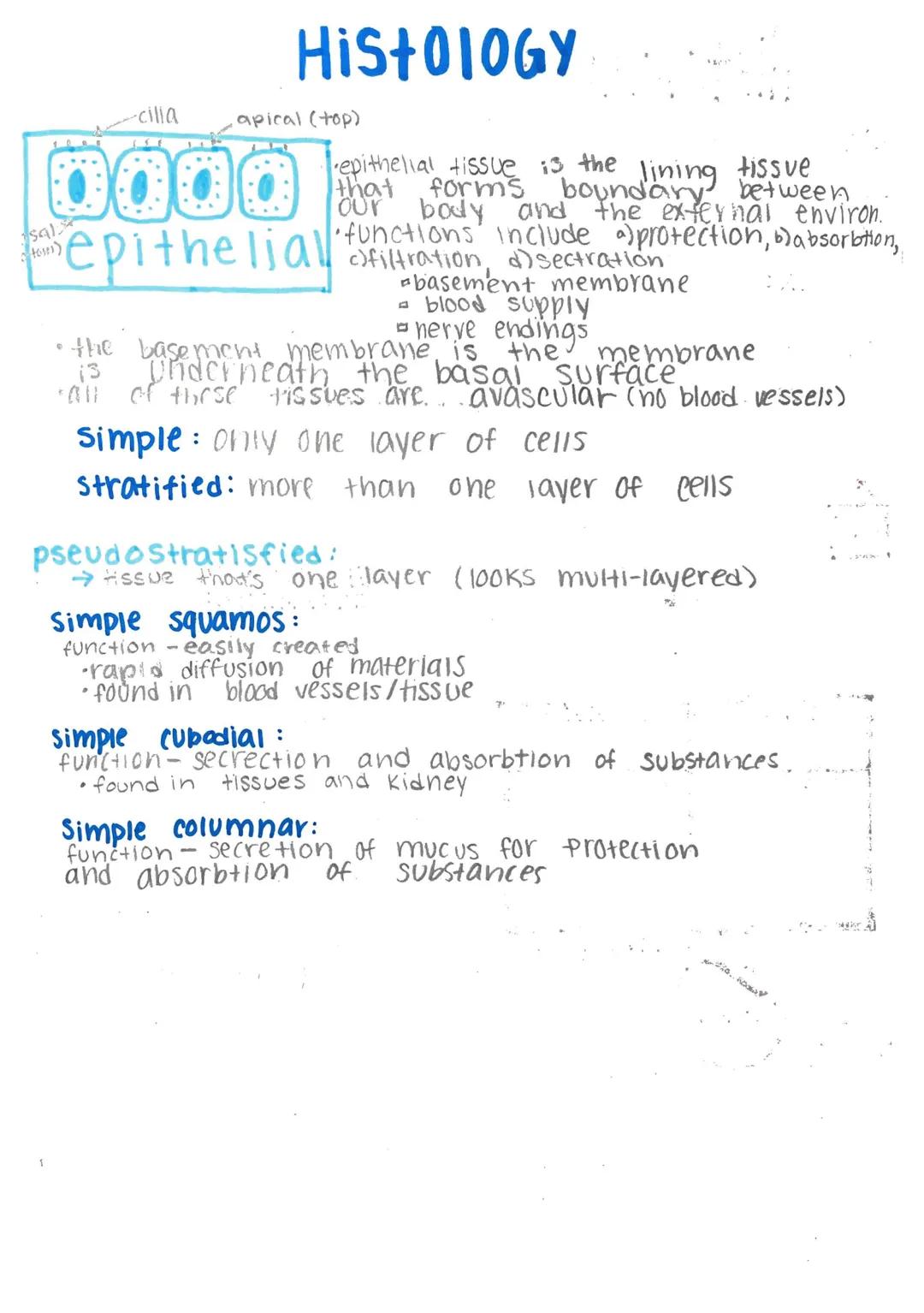 # Histology-

Histology: microscopic study of tissue

Biopsy: removal of tissue for diagnostic purposes

autopsy: examination of organs of a