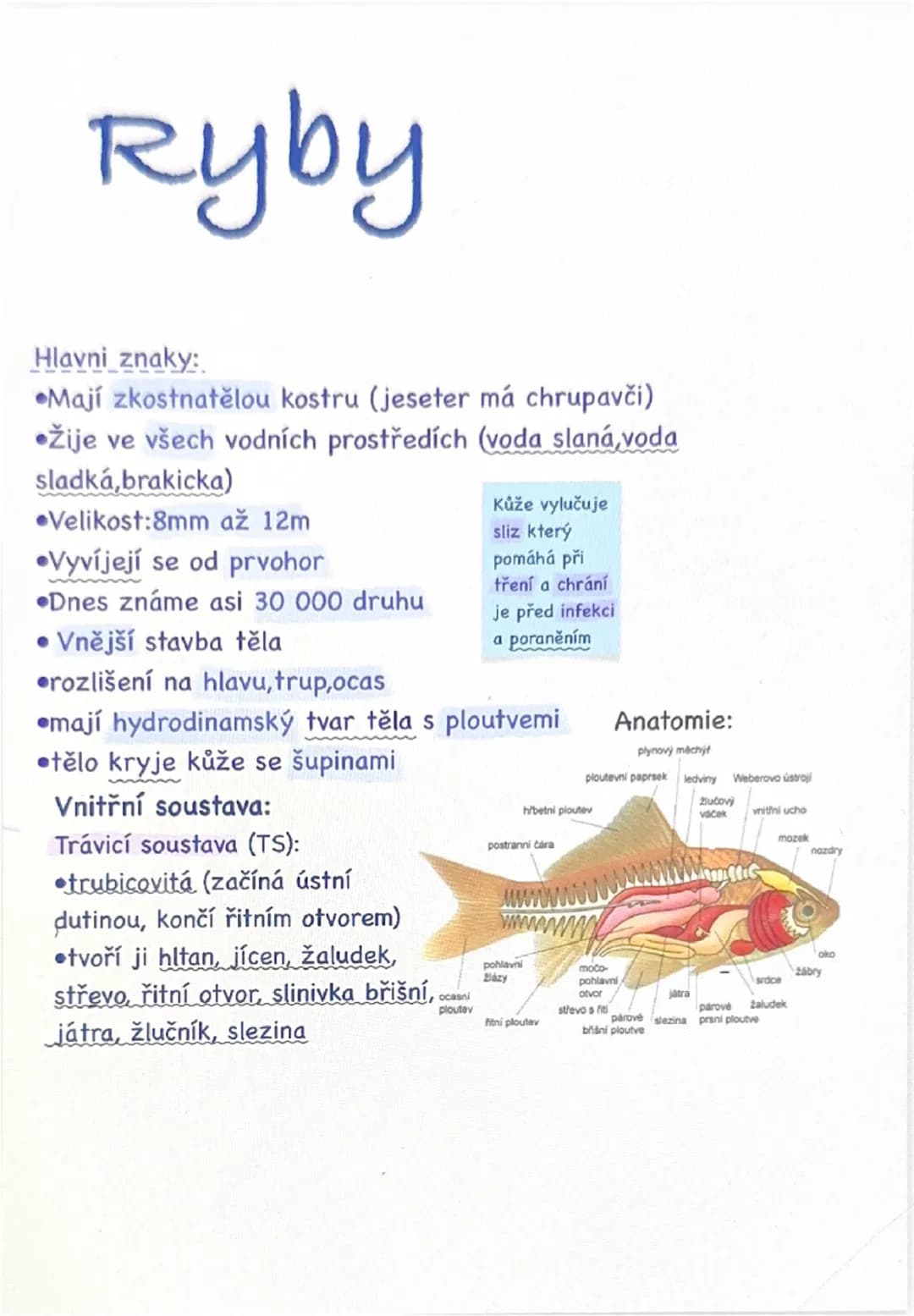 Ryby

Hlavni znaky:
*   Mají zkostnatělou kostru (jeseter má chrupavči)
*   Žije ve všech vodních prostředích (voda slaná, voda
    sladká, 