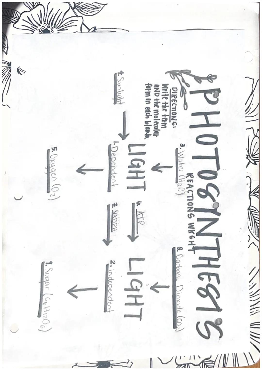 PHOTOSYNTHESIS

DIRECTIONG:
Write the term
AND the molecular
form in each blank.

3. Water (HaO)

REACTIONS WKGHT

8. Carbon Dioxide (CO₂)

