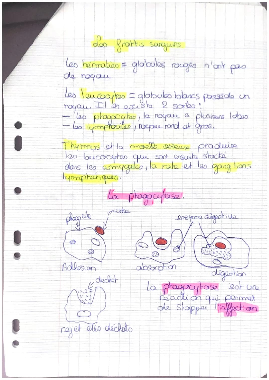i
•
!
!
Fiche de révisions

SVT

L'homme face au monde microbien

Def:

microorganisme est un être vivant de petite taille
uniquerment visib