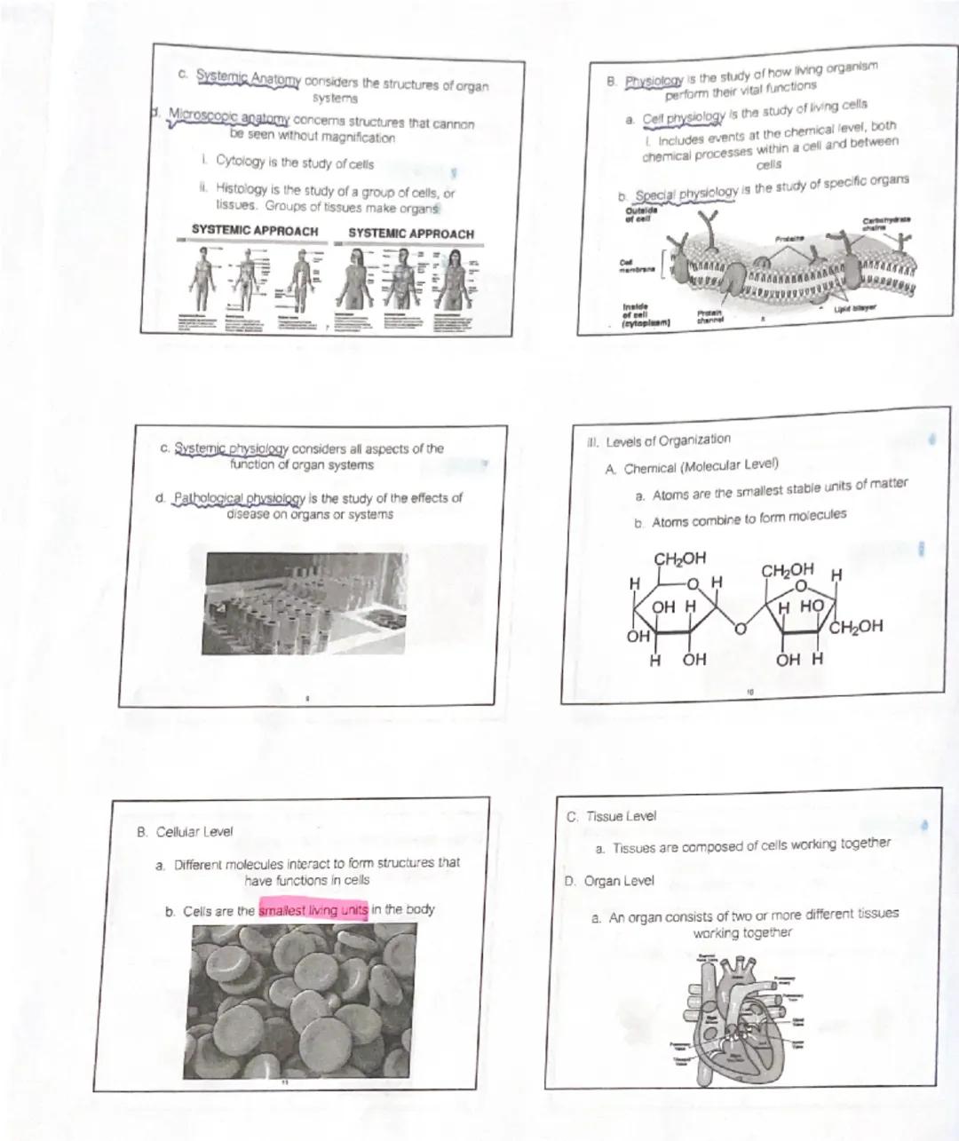 # Unit 1: An Introduction to Anatomy and Physiology

1. Introduction

Organisms appear in a wide variety of appearances and
lifestyles, but 