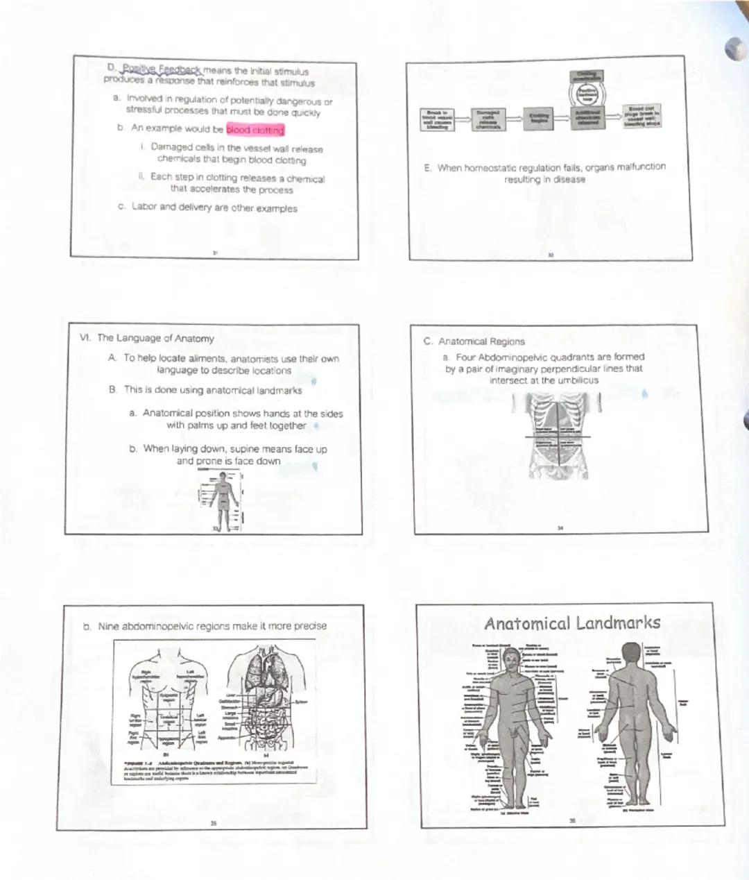 # Unit 1: An Introduction to Anatomy and Physiology

1. Introduction

Organisms appear in a wide variety of appearances and
lifestyles, but 
