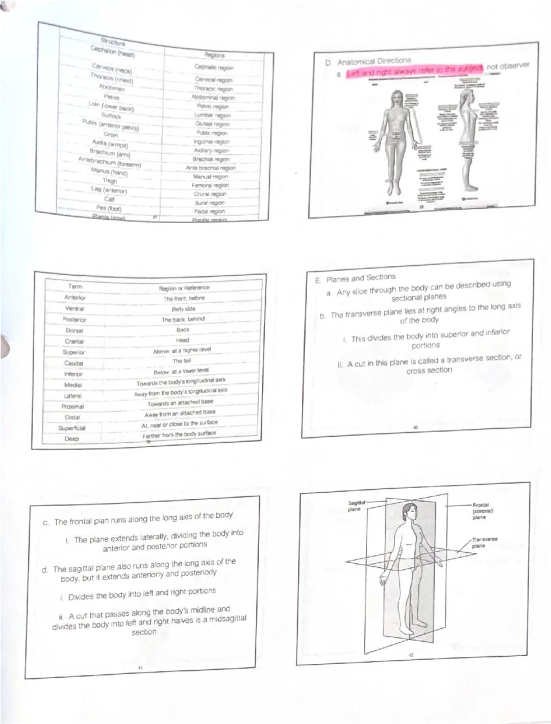 # Unit 1: An Introduction to Anatomy and Physiology

1. Introduction

Organisms appear in a wide variety of appearances and
lifestyles, but 