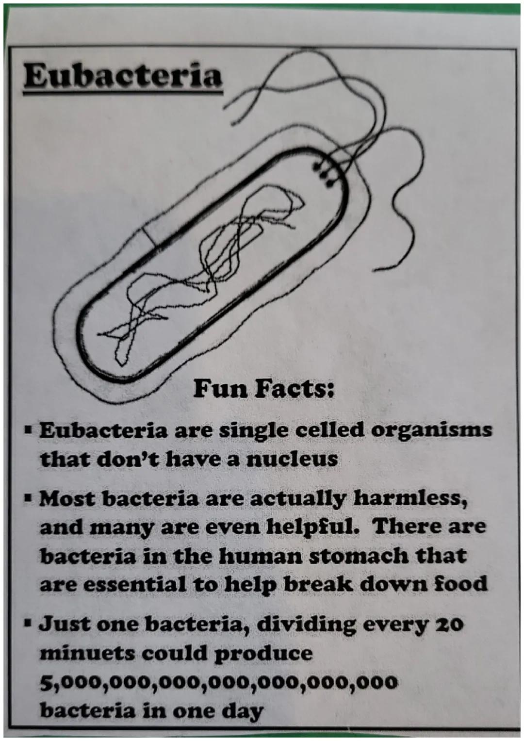 # The Six Kingdoms
## of Life # Archaebacteria

Fun Facts:

■ Are single celled organisms that live
in extreme environments

■ Are the oldes