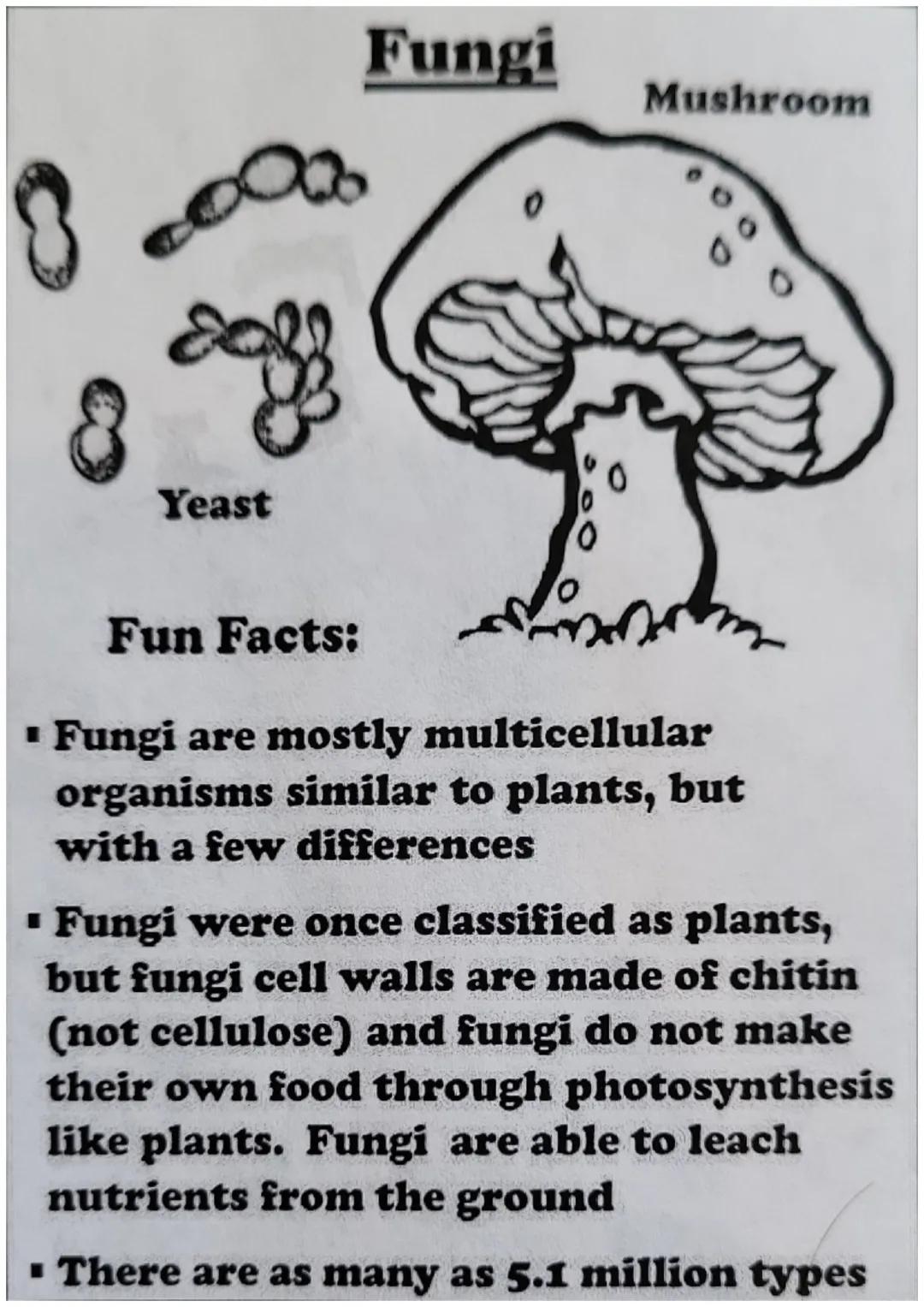 # The Six Kingdoms
## of Life # Archaebacteria

Fun Facts:

■ Are single celled organisms that live
in extreme environments

■ Are the oldes