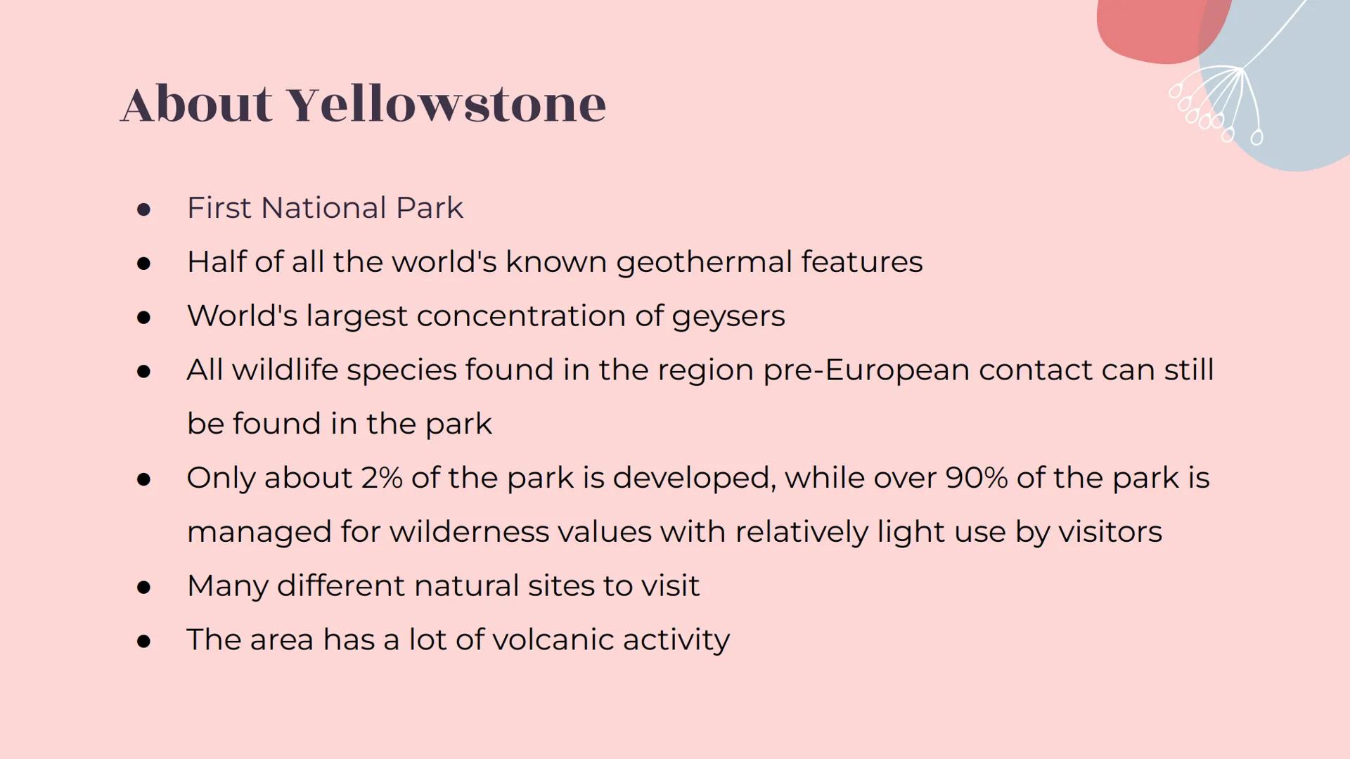 # Yellowstone
National Park # About Yellowstone

- First National Park
- Half of all the world's known geothermal features
-
-
-
World's lar