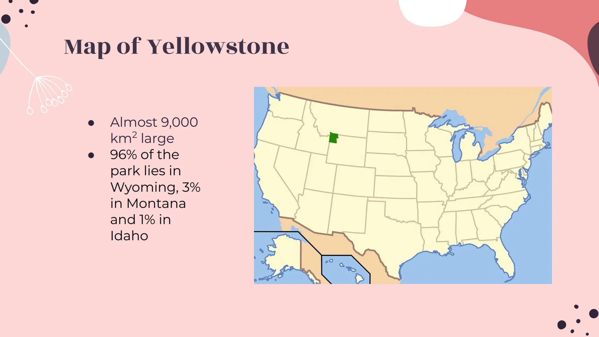 # Yellowstone
National Park # About Yellowstone

- First National Park
- Half of all the world's known geothermal features
-
-
-
World's lar