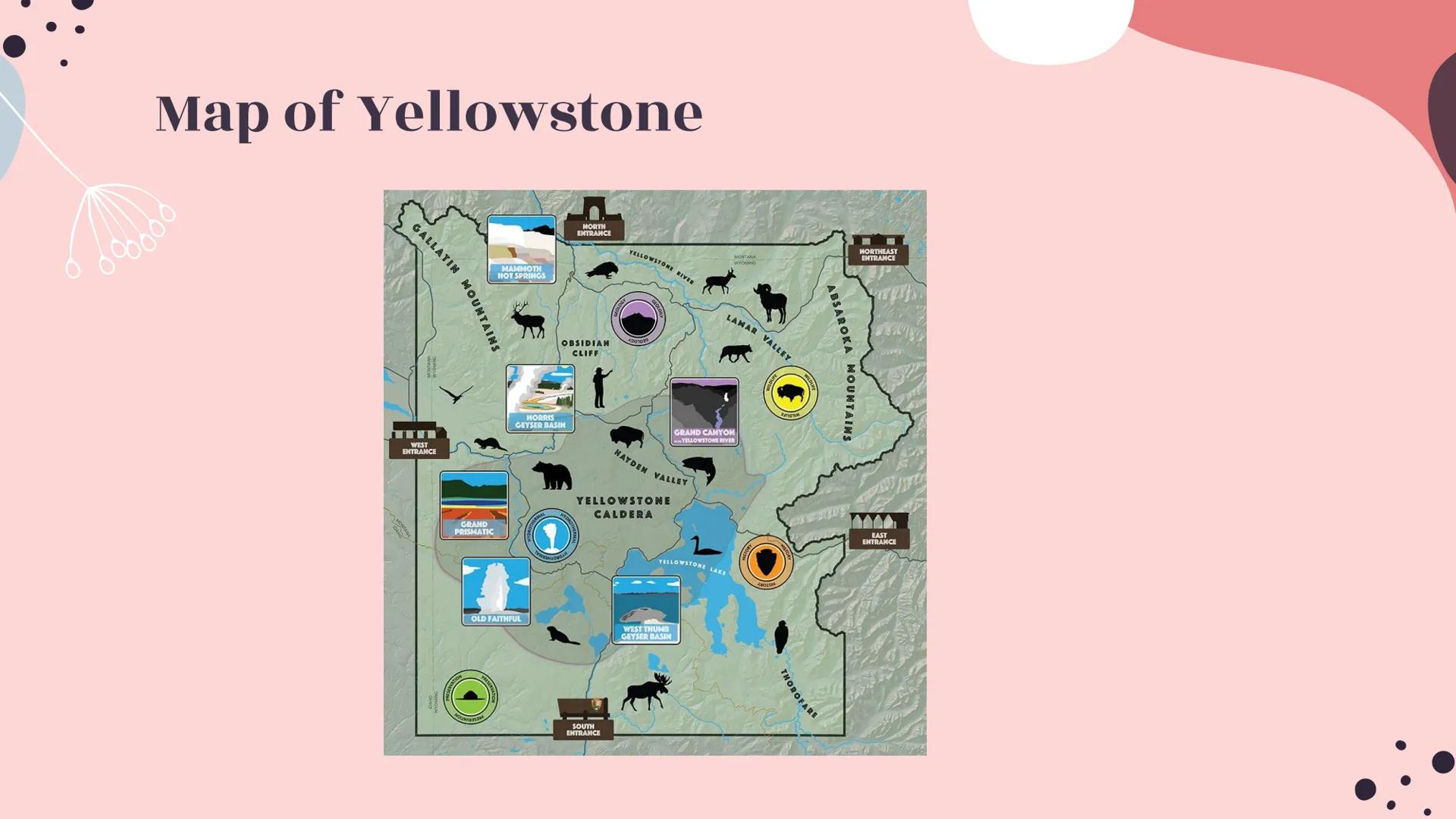 # Yellowstone
National Park # About Yellowstone

- First National Park
- Half of all the world's known geothermal features
-
-
-
World's lar