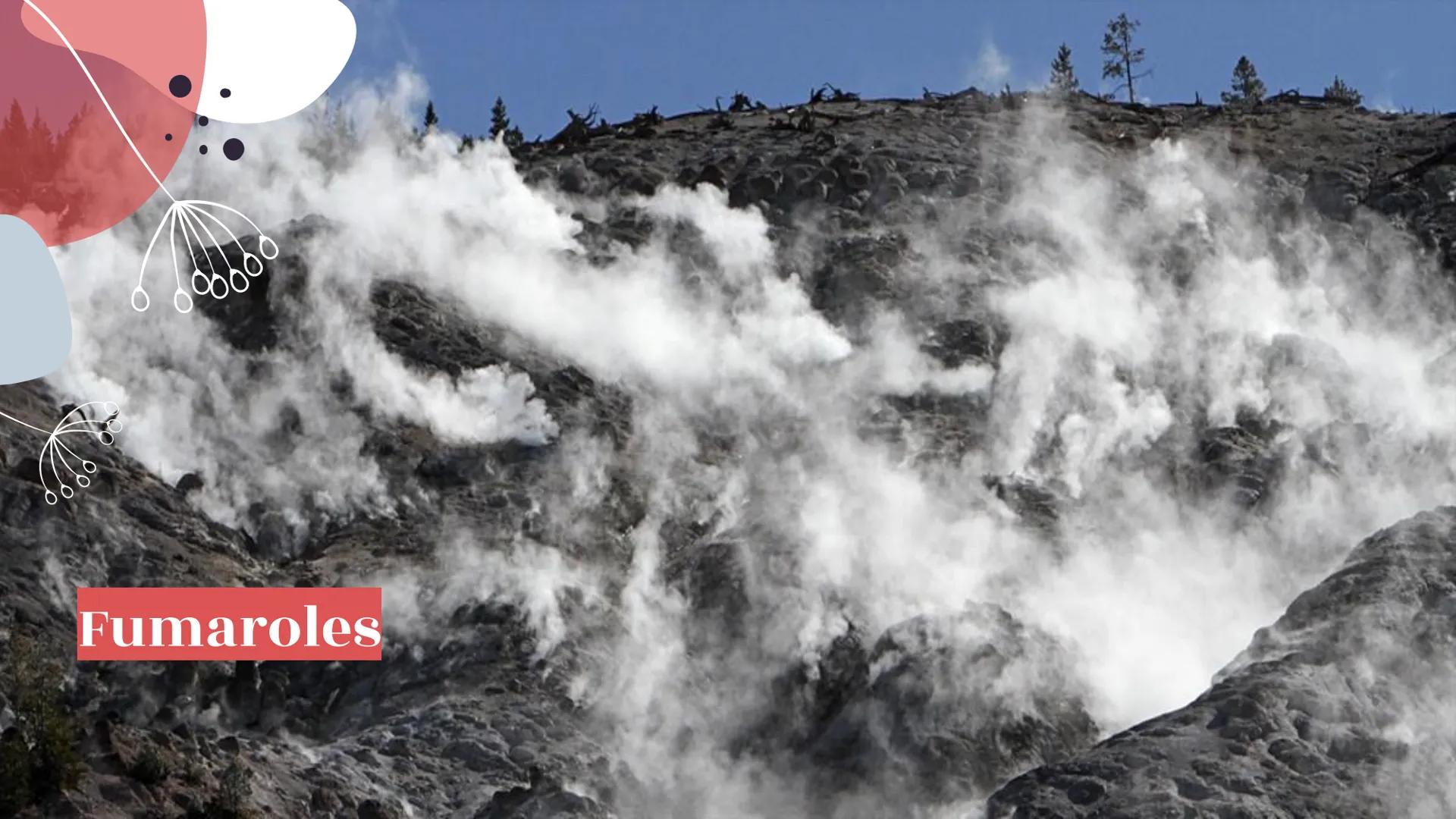 # Yellowstone
National Park # About Yellowstone

- First National Park
- Half of all the world's known geothermal features
-
-
-
World's lar