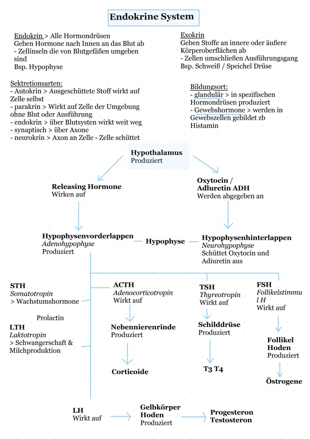 # Lernzettel

Hormone

Bestimmen:
-Verdauung
- Blutdruck
Blutzucker
Stressreaktion

Hormone sind Informationsvermittler (First Messenger)
di