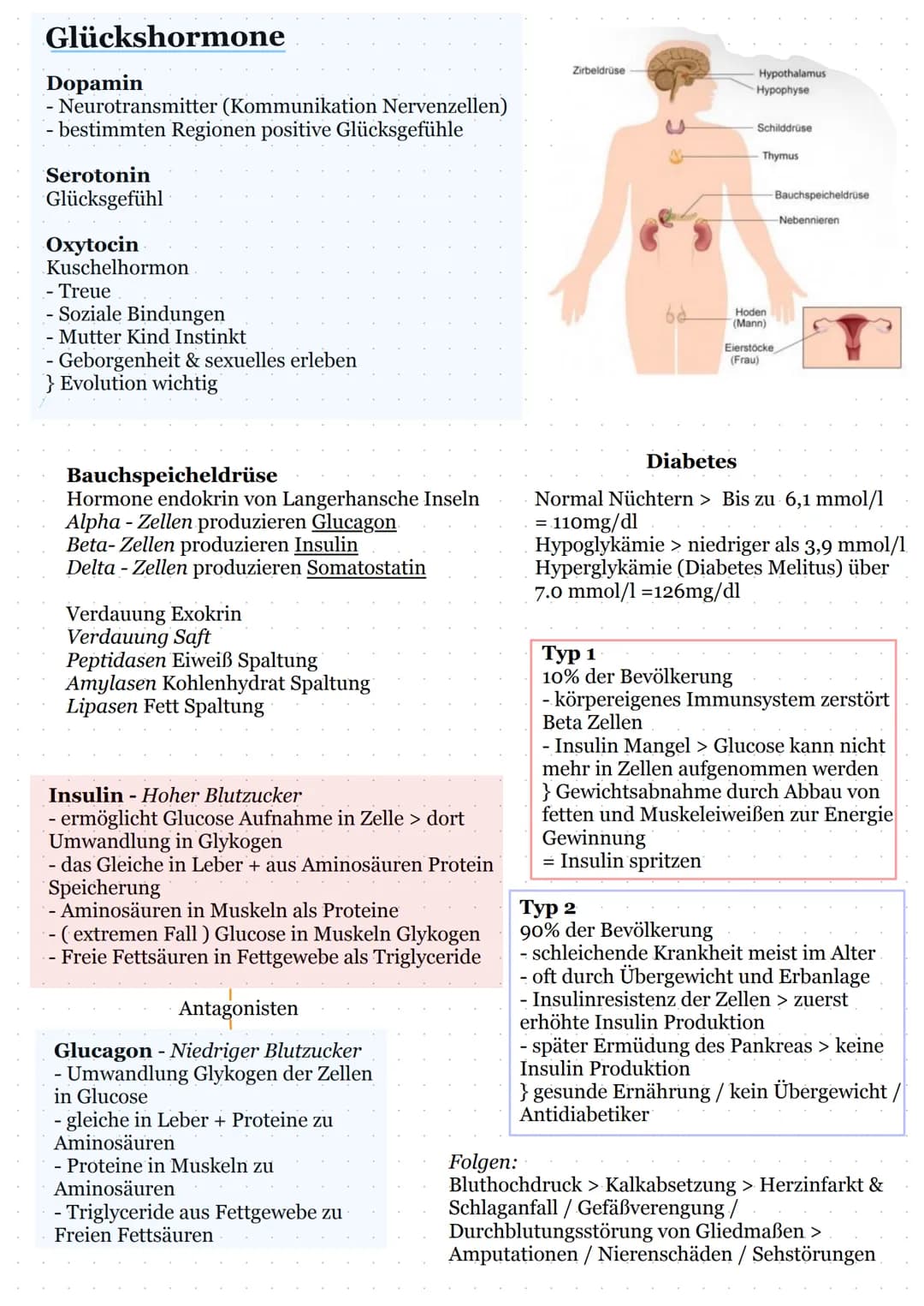 # Lernzettel

Hormone

Bestimmen:
-Verdauung
- Blutdruck
Blutzucker
Stressreaktion

Hormone sind Informationsvermittler (First Messenger)
di