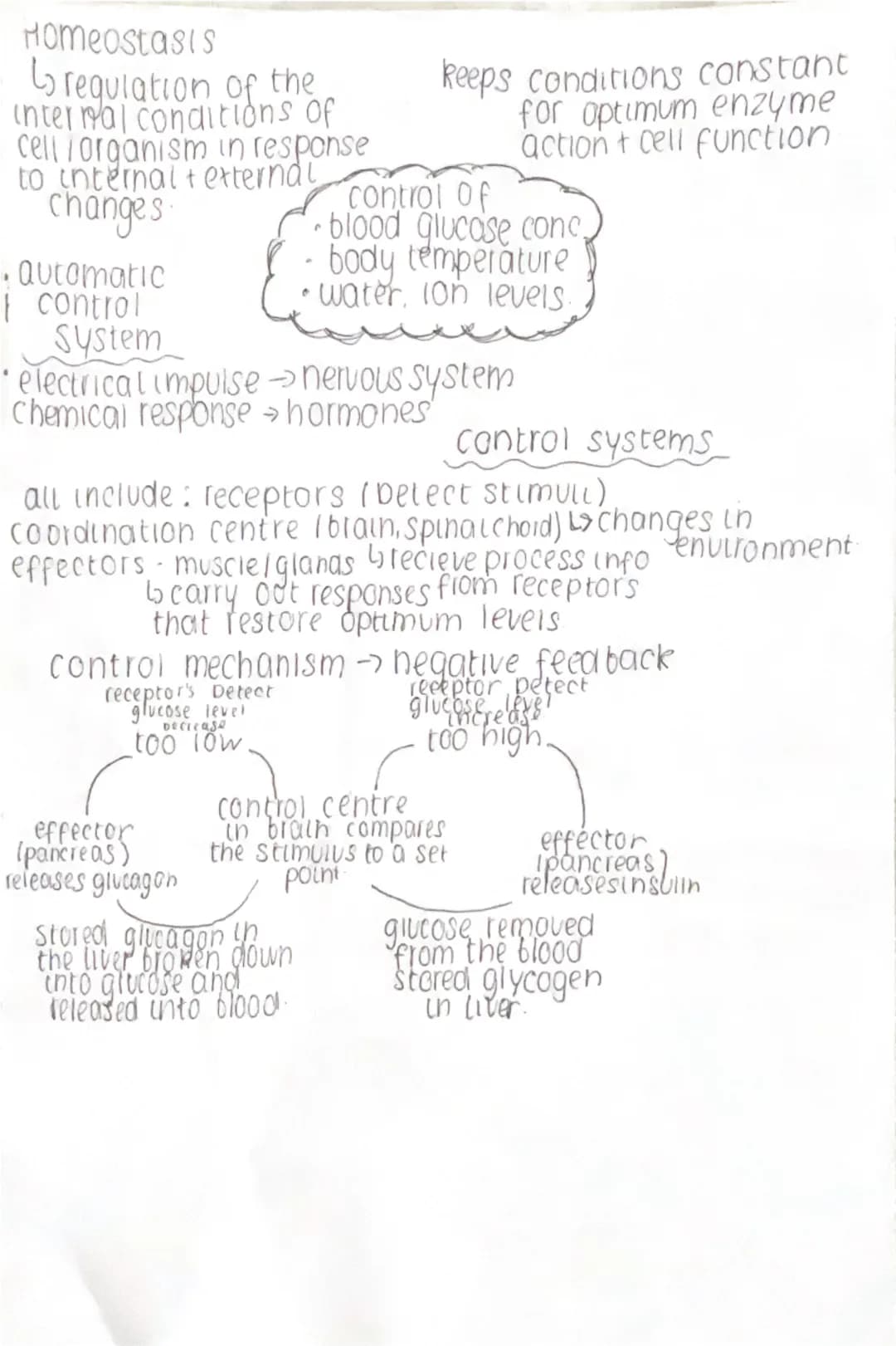 Homeostasis
regulation of the
internal conditions of
cell/organism in response
to internal + external
changes
automatic
control
System
keeps