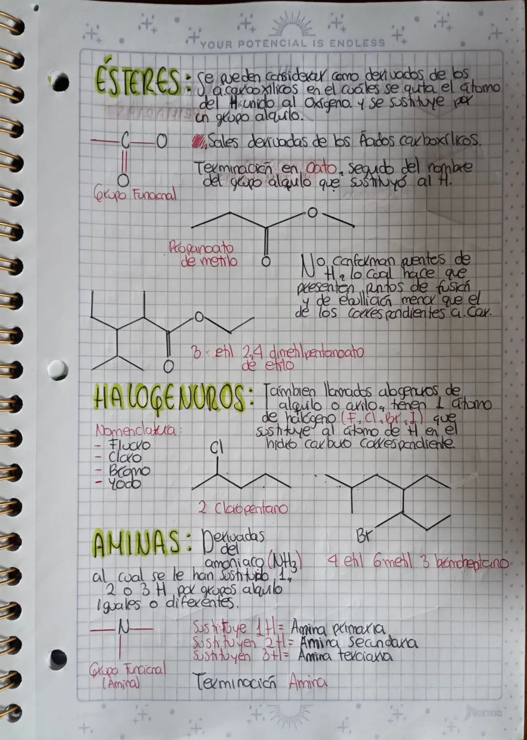 YOUR POTENCIAL IS ENDLESS ++
# GRUPOS FUNCIONALES
ALCOHOLES: Derivados de los alkaros, a los
Cuáles se les quta un atomo de H
y se sustituye