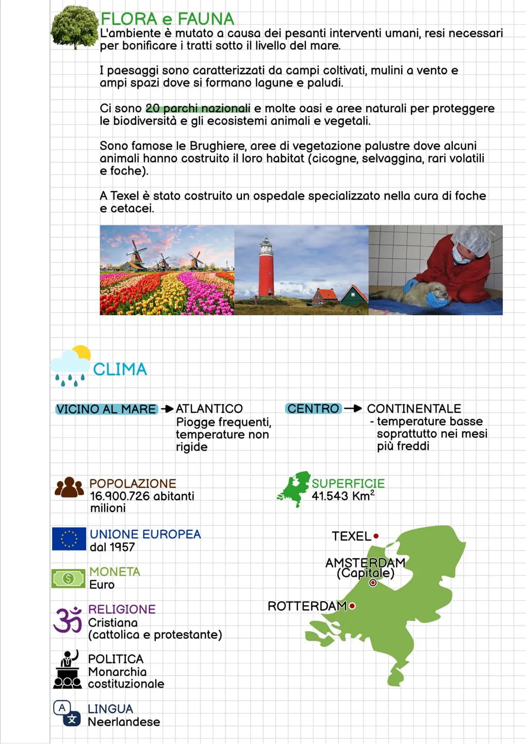# REGIONE FRANCESE
E' situata nell'area centro-occidentale dell'Europa

NORD
MARE
del NORD

Regno
Unito
Paesi
Bassi

Belgio
Germania
►Lussem