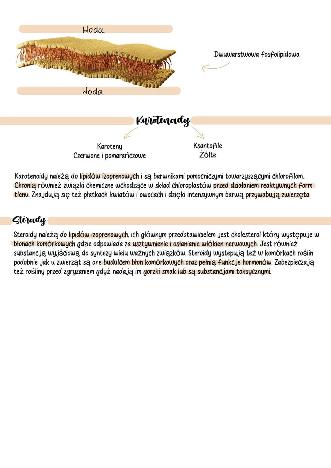# Lipidy

@kavcia..study

## Budowa i rodzaje lipidów

Lipidy inaczej nazywane tłuszczowcami zbudowane są zwykle z C, H, i O (węgla, wodoru 