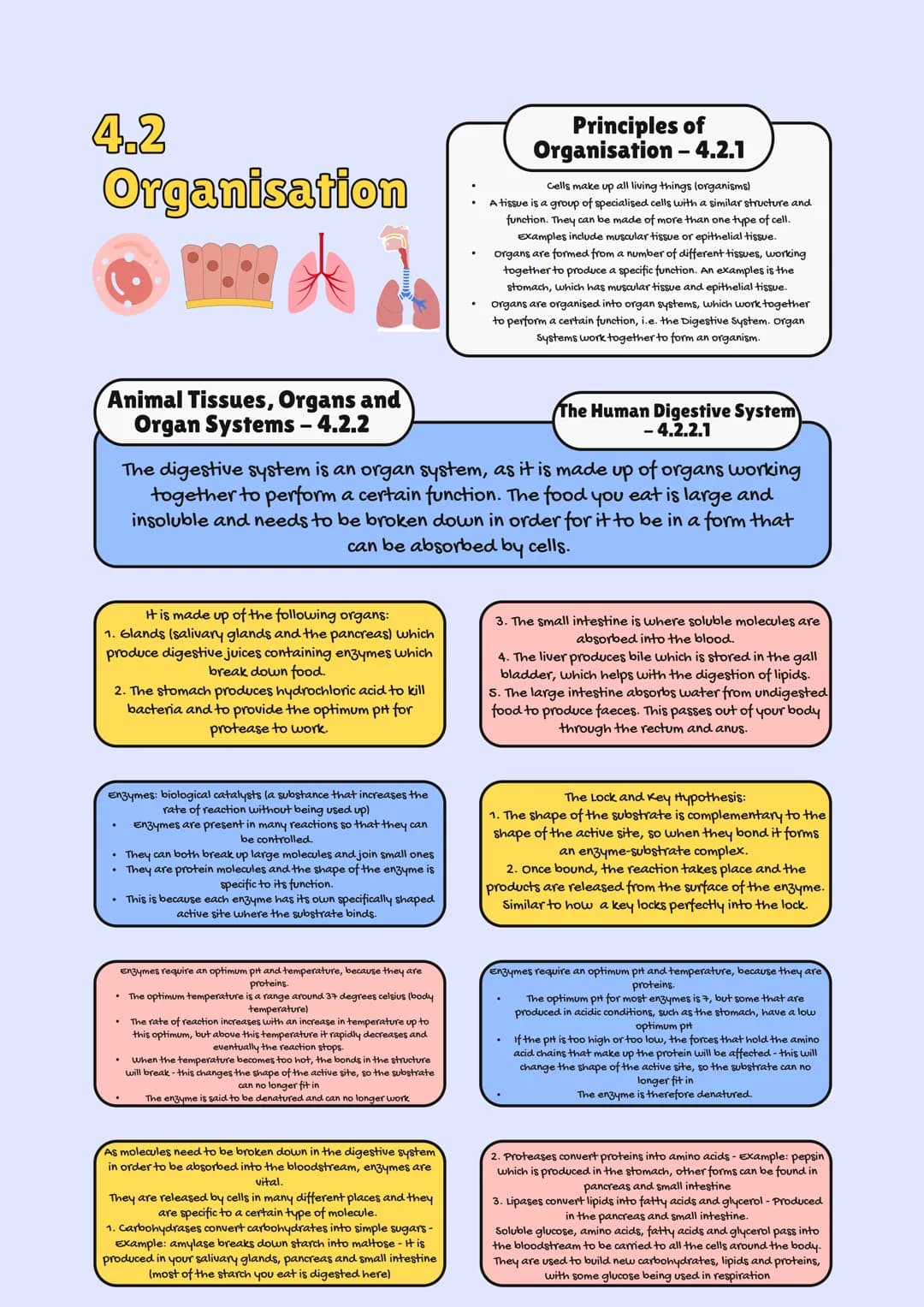 
<h2>AQA GCSE Biology Specification 2023</h2>
<p>In GCSE Biology, one of the crucial topics is Organization in Plants and Animals. This topi