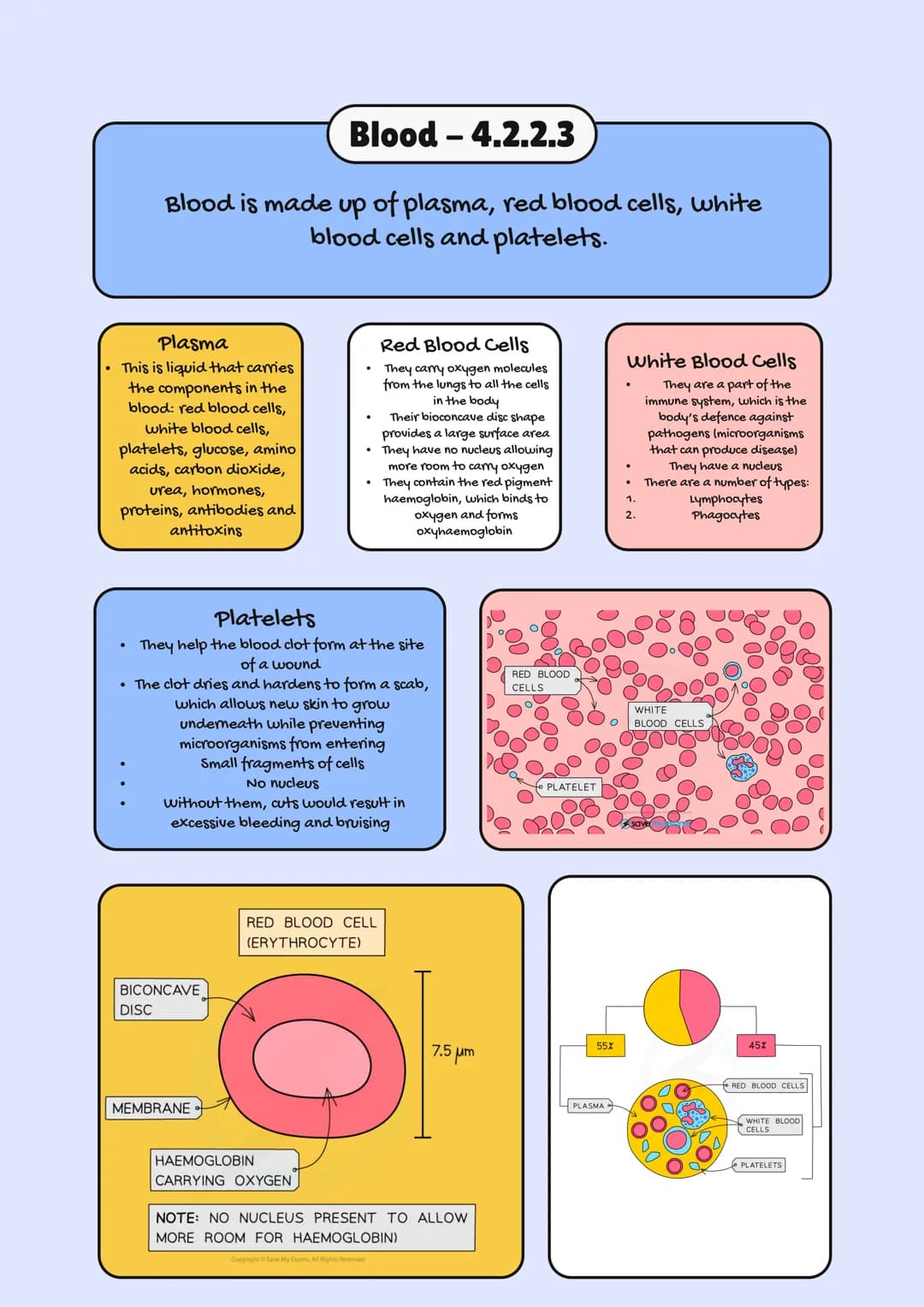 
<h2>AQA GCSE Biology Specification 2023</h2>
<p>In GCSE Biology, one of the crucial topics is Organization in Plants and Animals. This topi