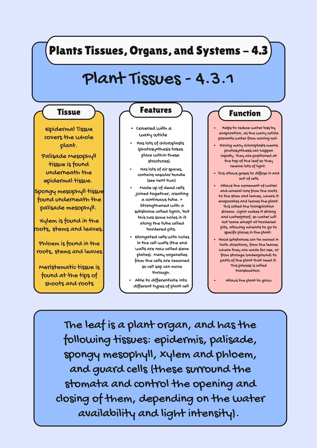 
<h2>AQA GCSE Biology Specification 2023</h2>
<p>In GCSE Biology, one of the crucial topics is Organization in Plants and Animals. This topi