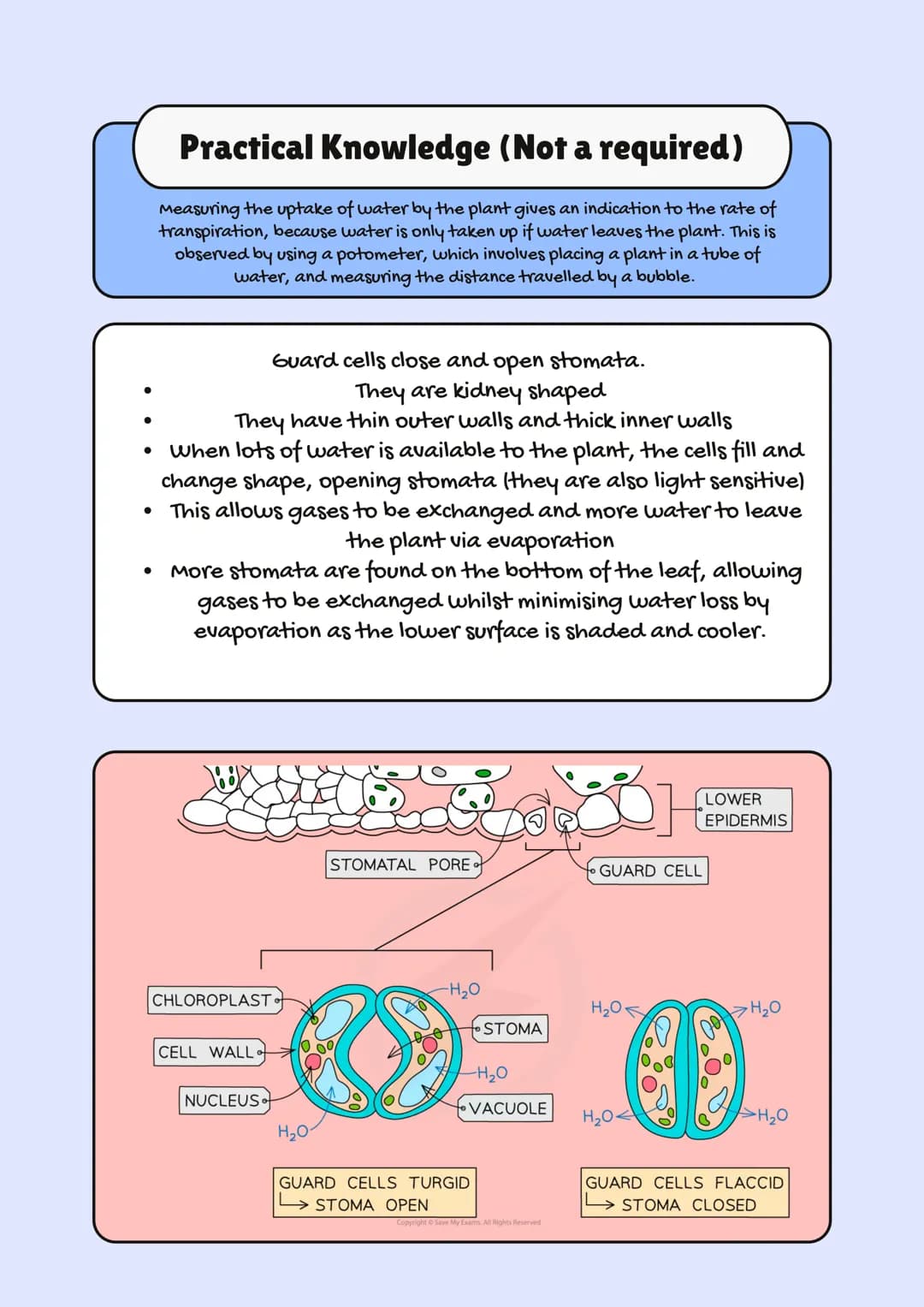 
<h2>AQA GCSE Biology Specification 2023</h2>
<p>In GCSE Biology, one of the crucial topics is Organization in Plants and Animals. This topi