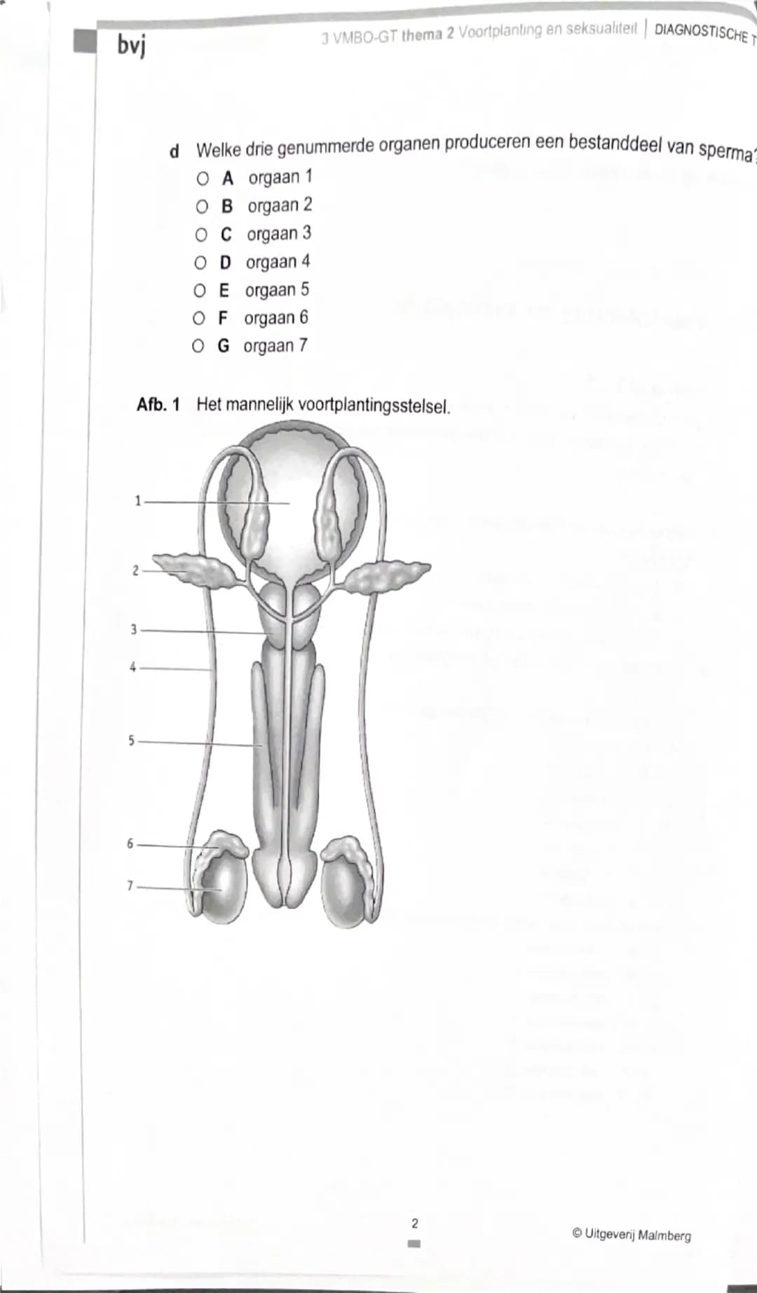 bvj
3 VMBO-GT thema 2 Voortplanting en seksualiteit | DIAGNOSTISCHE TOETS

Je kunt de opdrachten van de Diagnostische toets maken om je voor
