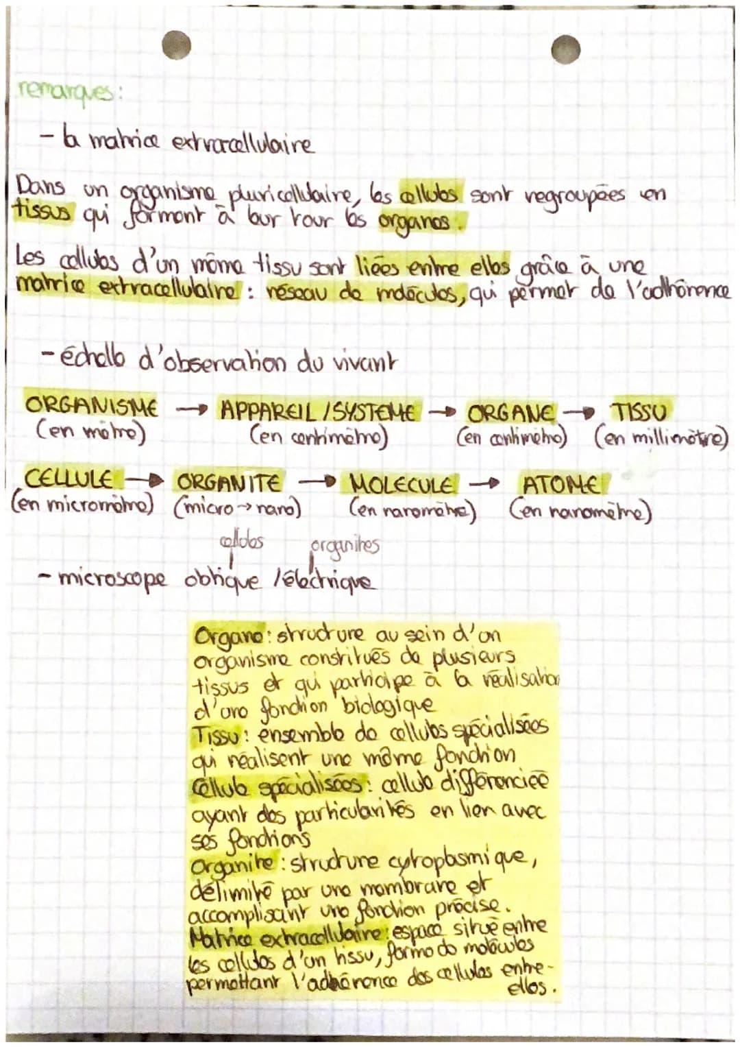 # l'organisme pluxicellulaire,
um ensemble de cellules
specialisées

DES ETRES-VIVANTS UNICELLULAIRES

Un organisme vivant unicellulaire réa