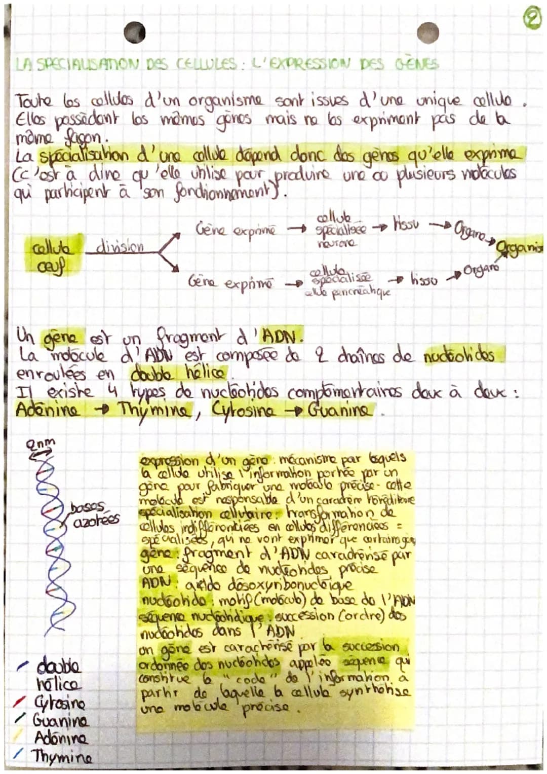 # l'organisme pluxicellulaire,
um ensemble de cellules
specialisées

DES ETRES-VIVANTS UNICELLULAIRES

Un organisme vivant unicellulaire réa