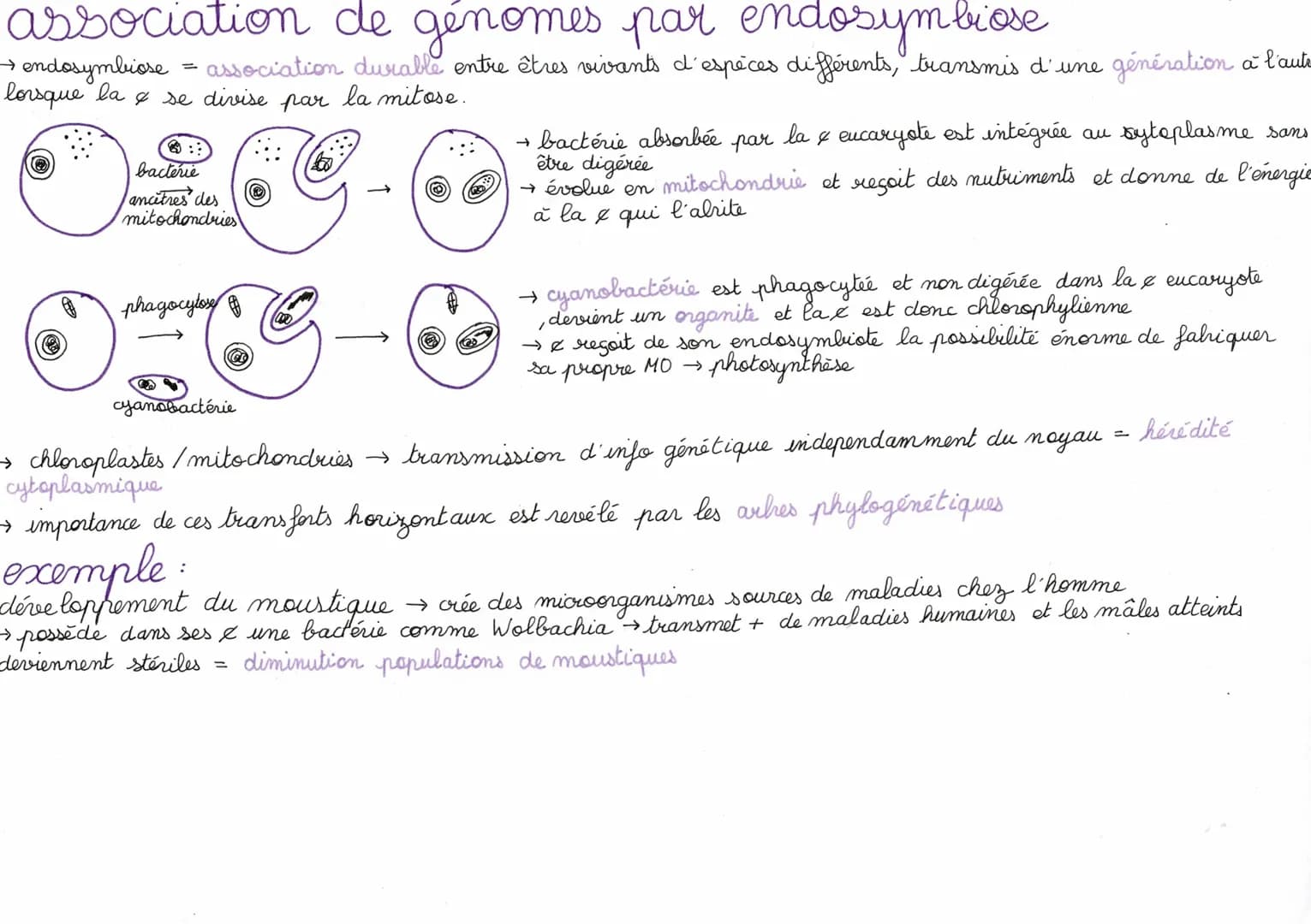 # Chapitre 2 : Complexification du G

> Des échanges de gènes ou association de génome peuvent avoir lieu entre dif groupes d'êtres vivants 