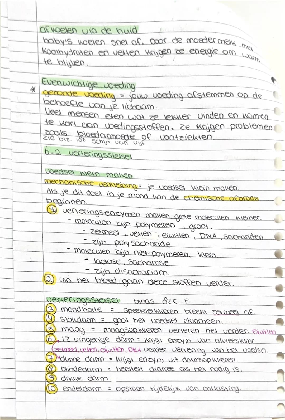 • Biologie
6.1 Gezonde voeding
Behoefte aan energie
energie gebruik je voor Piekeren, groei, hersiel, omgevings-
temperatuur, hormonen, warm