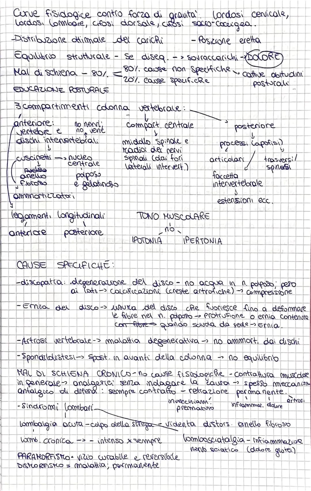 Curve fisidogice contro forza di gravita Lordosi cervicale,
Cordos, Combare, afosi dorsale, cifosi socio-coccigea.
-Distribuzione Himale del