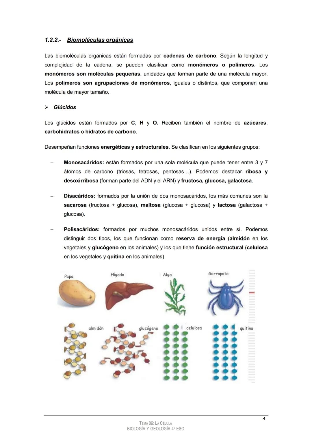 
<h2>Tema 4: La Célula</h2>
<h3>Los componentes de los seres vivos</h3>
<h4>1.1. Bioelementos:</h4>
<p>La materia orgánica presenta caracter