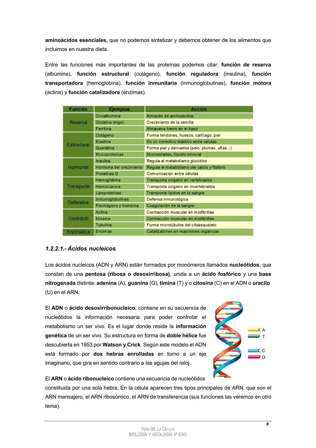 
<h2>Tema 4: La Célula</h2>
<h3>Los componentes de los seres vivos</h3>
<h4>1.1. Bioelementos:</h4>
<p>La materia orgánica presenta caracter