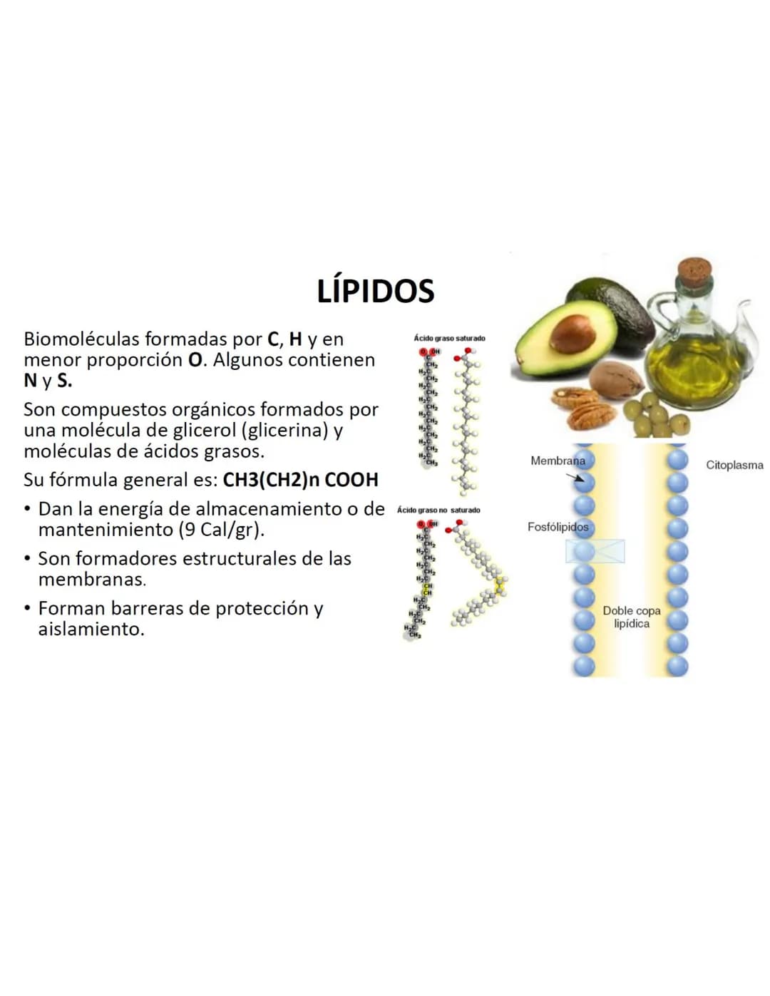 # LÍPIDOS

Biomoléculas formadas por C, H y en
menor proporción O. Algunos contienen
N y S.

Son compuestos orgánicos formados por
una moléc