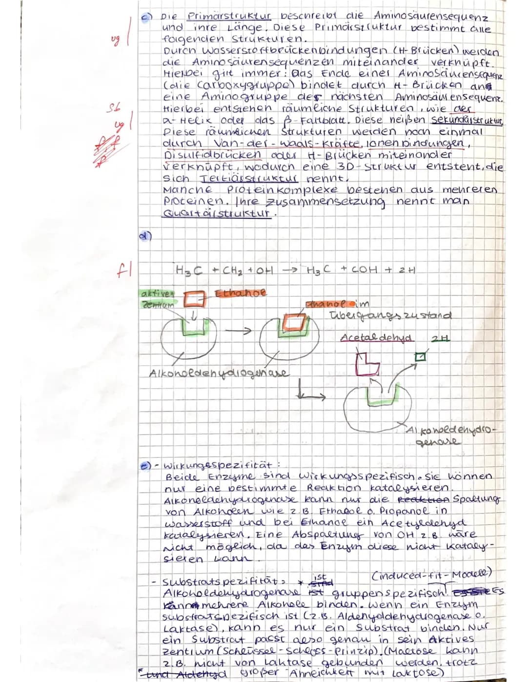 <h2>Biologie Klausur: Enzyme und Stoffwechsel</h2>
<h3>Aufgabe 1: Alkoholabbau in Leberzellen</h3>
<p>Alkohol ist weltweit die meistkonsumie