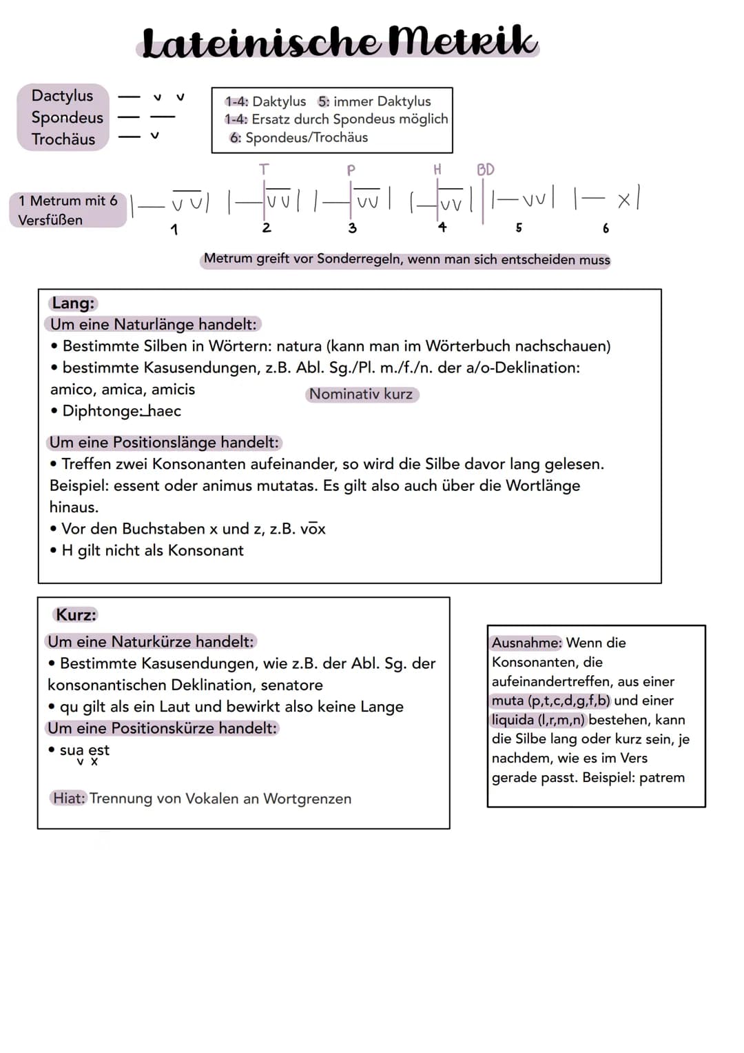 Latein Lernzettel

Themen:
1. Paraphrase (Text in eigenen Worten
wiedergeben)
2. Stilmittelanalyse (3-5 deuten) + Interpretation
3. Metrik
4