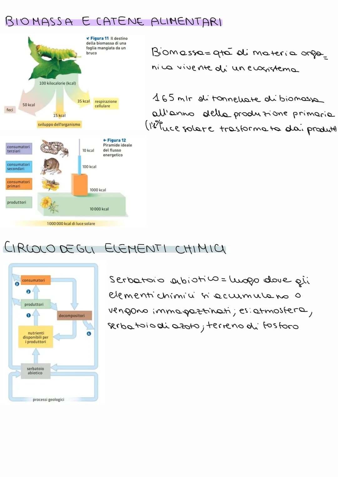 # BIOLOGIA

A OGNI LIVELLO DI ORGANIZZAZIONE EMERGO
PROPRIETA DIVERSE
02

1 BIOSFERA
= porzione di superficie terrestre che ospita la vita.
