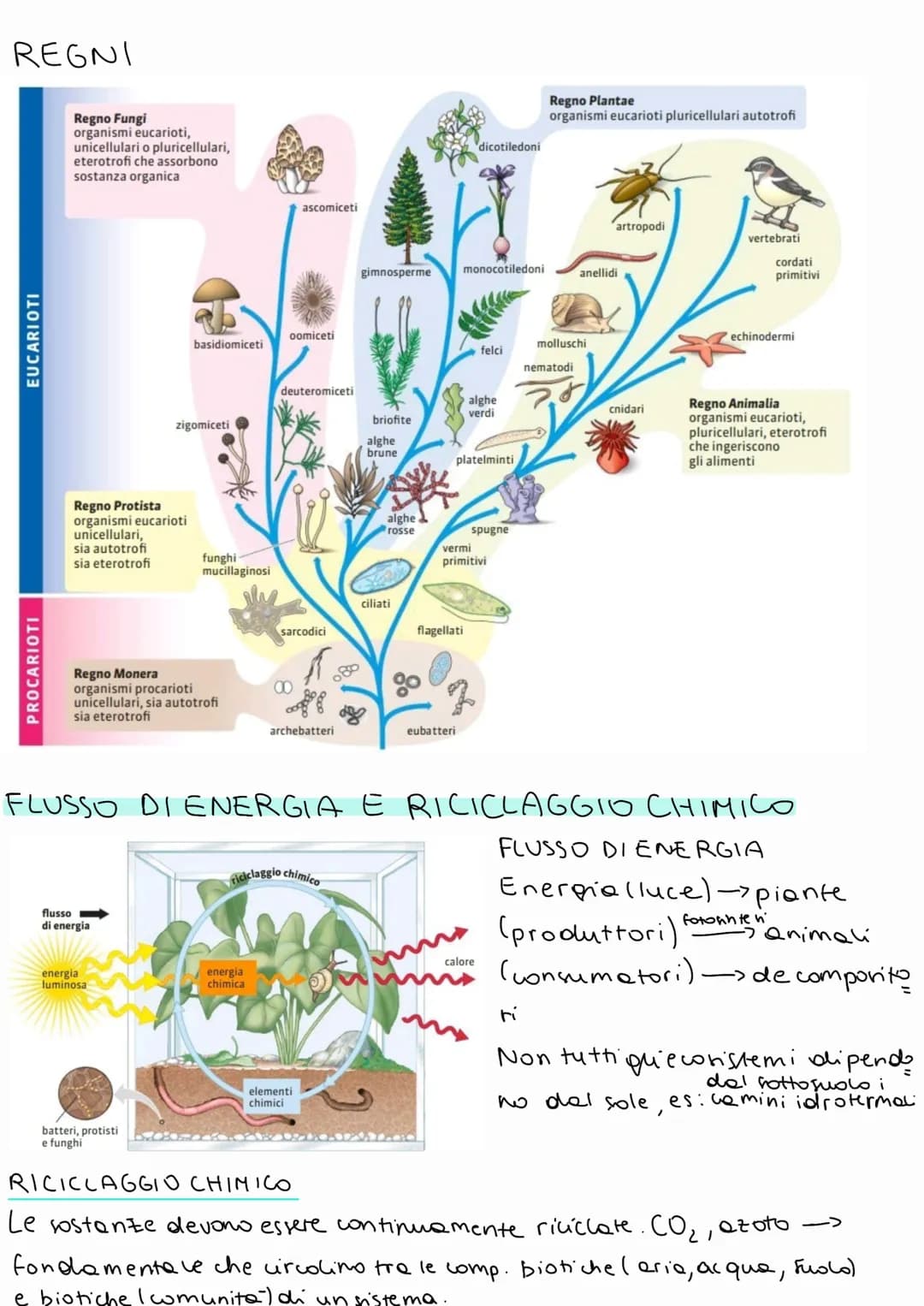 # BIOLOGIA

A OGNI LIVELLO DI ORGANIZZAZIONE EMERGO
PROPRIETA DIVERSE
02

1 BIOSFERA
= porzione di superficie terrestre che ospita la vita.
