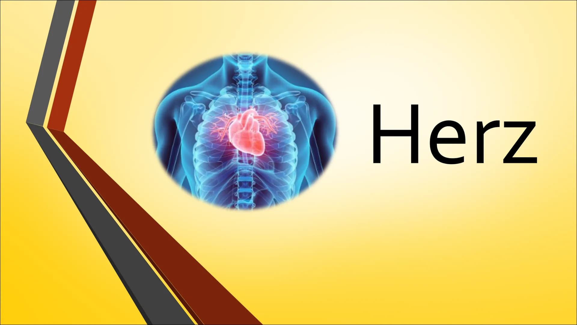 Herz Inhaltsverzeichnis

• Anatomie (Aufbau)
• Physiologie (Funktion)
• Herzerkrankungen
• Herzeingriffe
• Quiz # Anatomie Steckbrief

• Grö