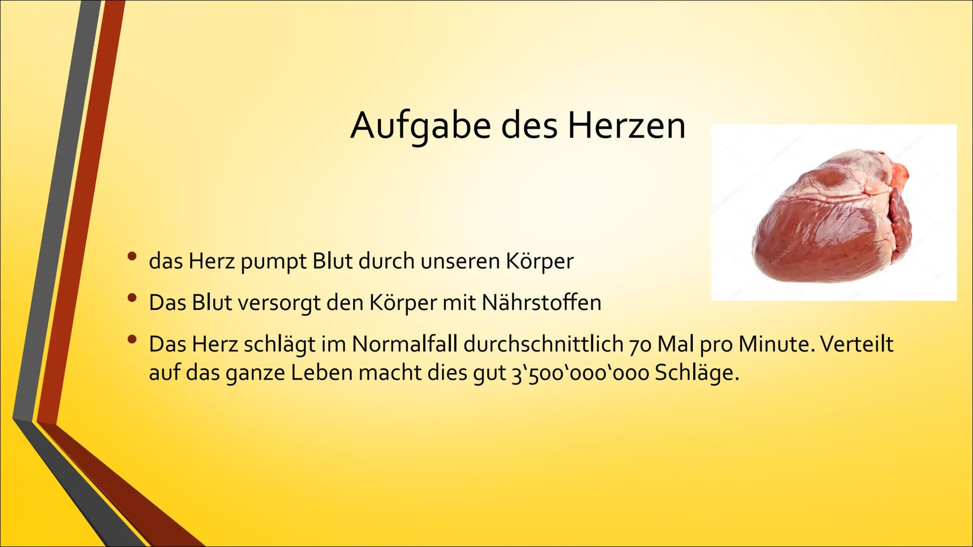 Herz Inhaltsverzeichnis

• Anatomie (Aufbau)
• Physiologie (Funktion)
• Herzerkrankungen
• Herzeingriffe
• Quiz # Anatomie Steckbrief

• Grö